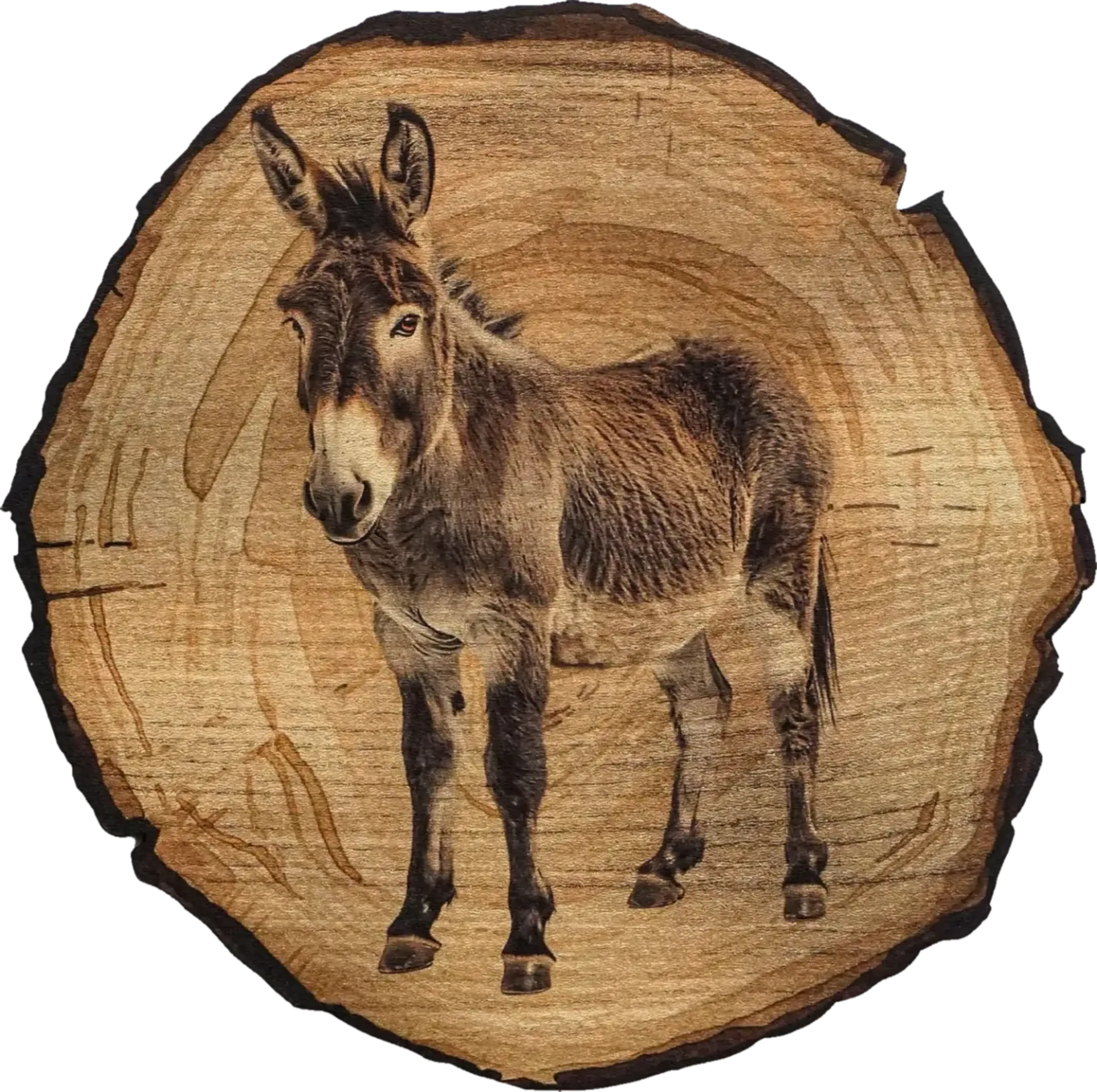 Graubrauner Esel mit langen Ohren und heller Schnauze, leicht seitlich stehend vor einer runden Holzoptik.