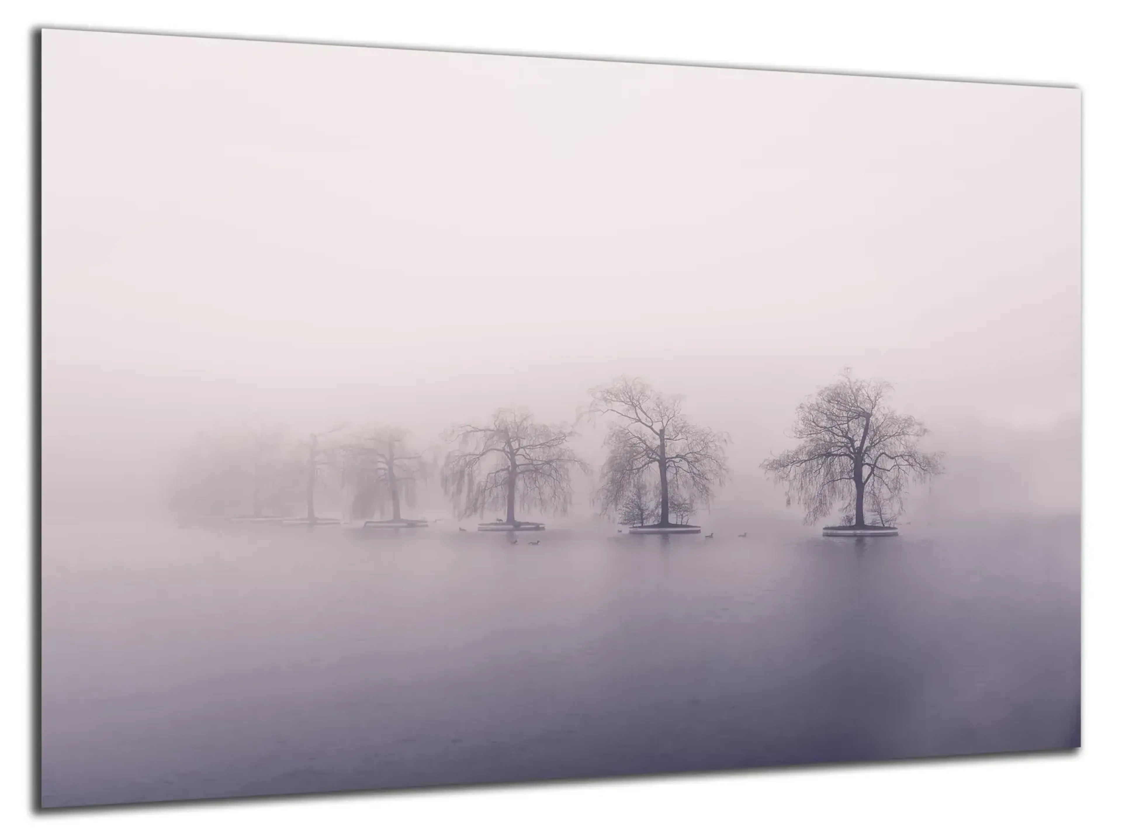 Bäume im Winternebel – Ansicht 5