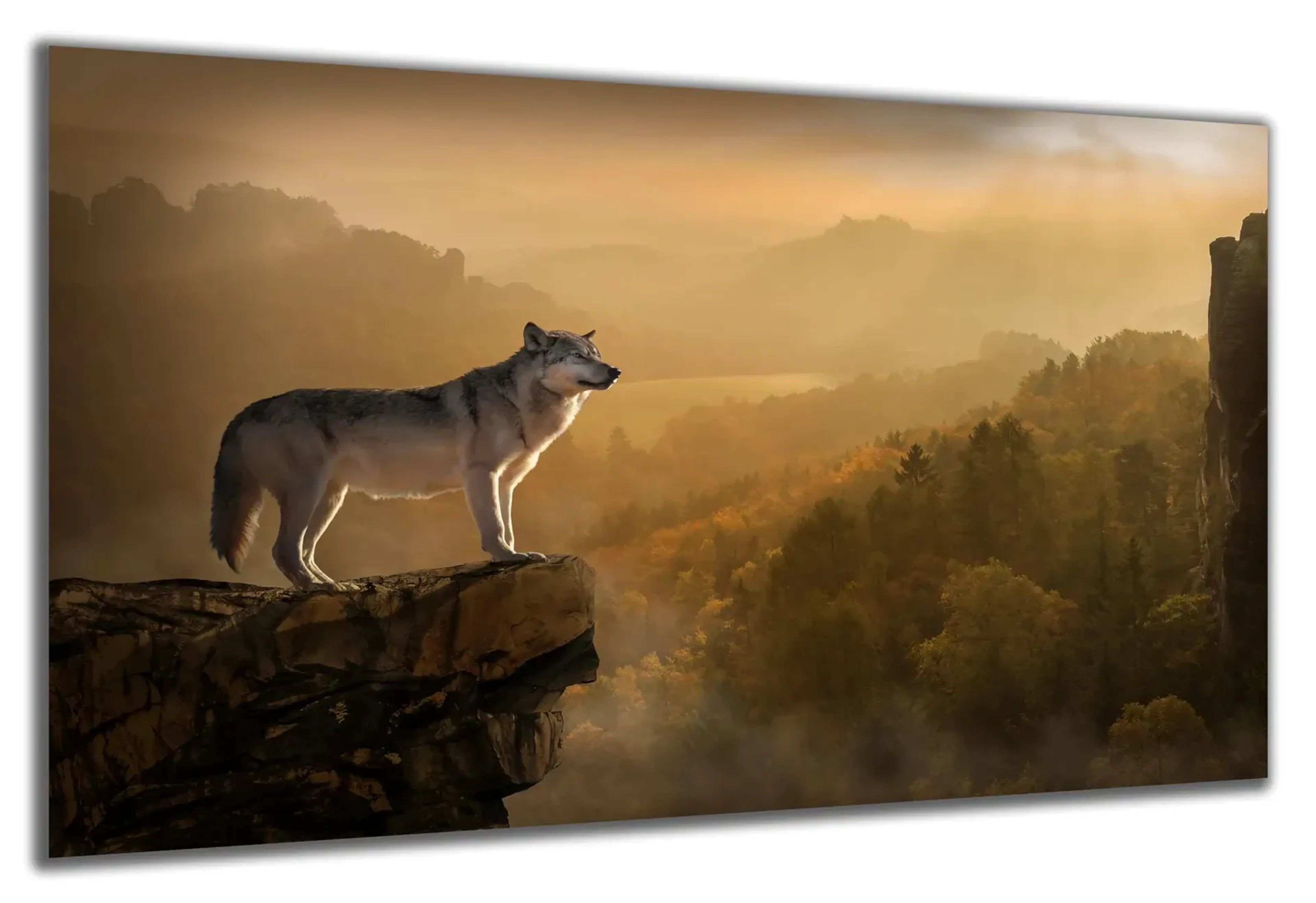 Wolf auf Fels – Ansicht 5