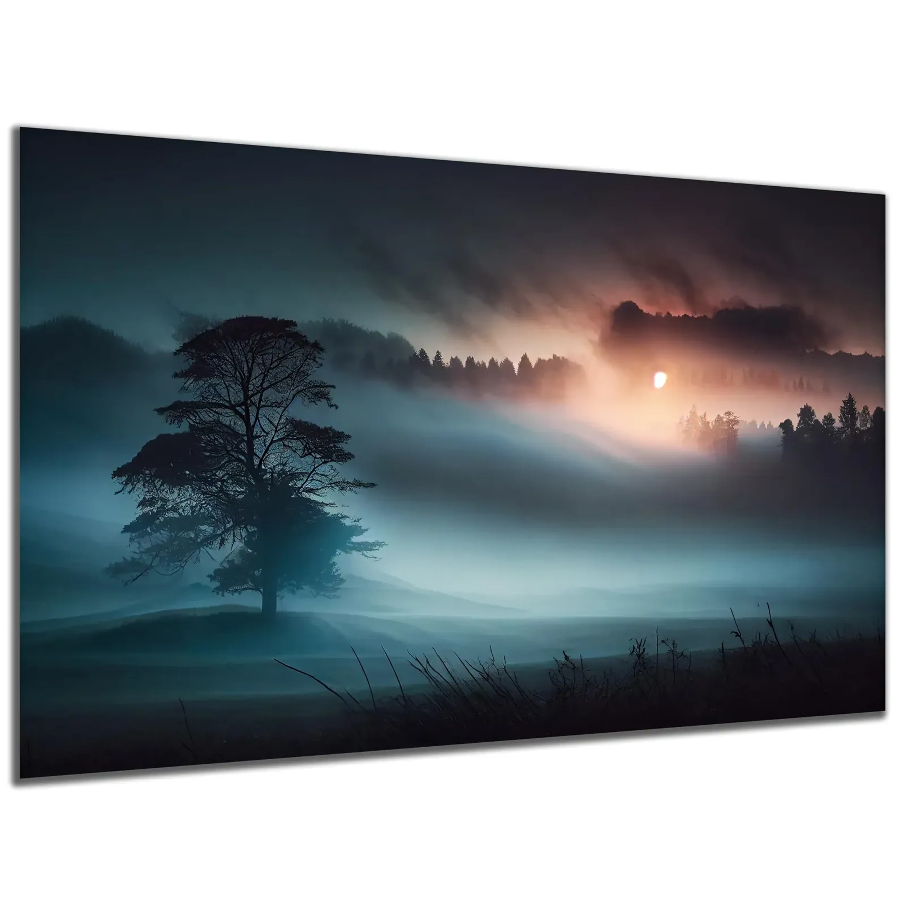 Baum im Nebel – Ansicht 5