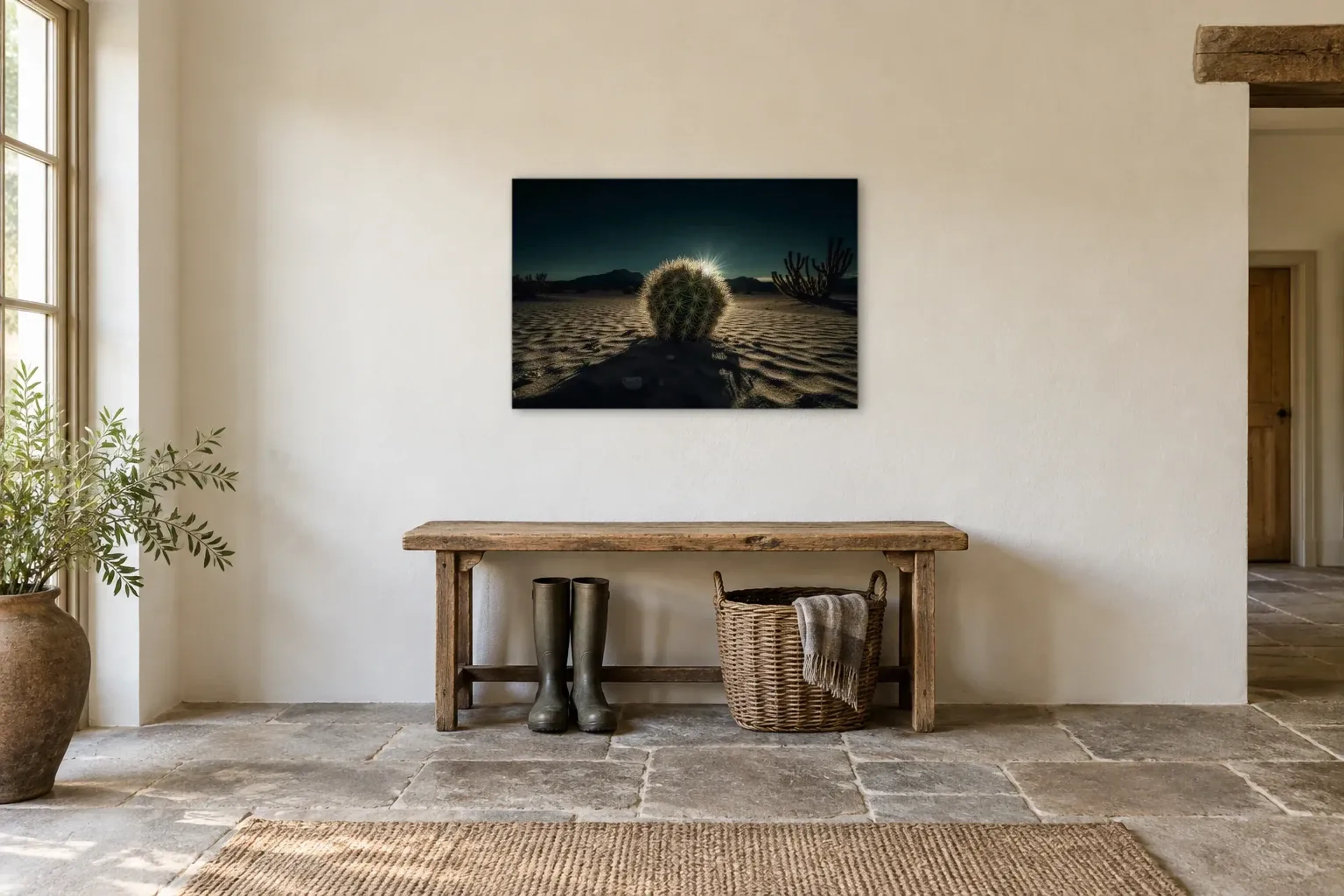 Kaktus im Gegenlicht als Wandbild über einer 120-cm-Bank