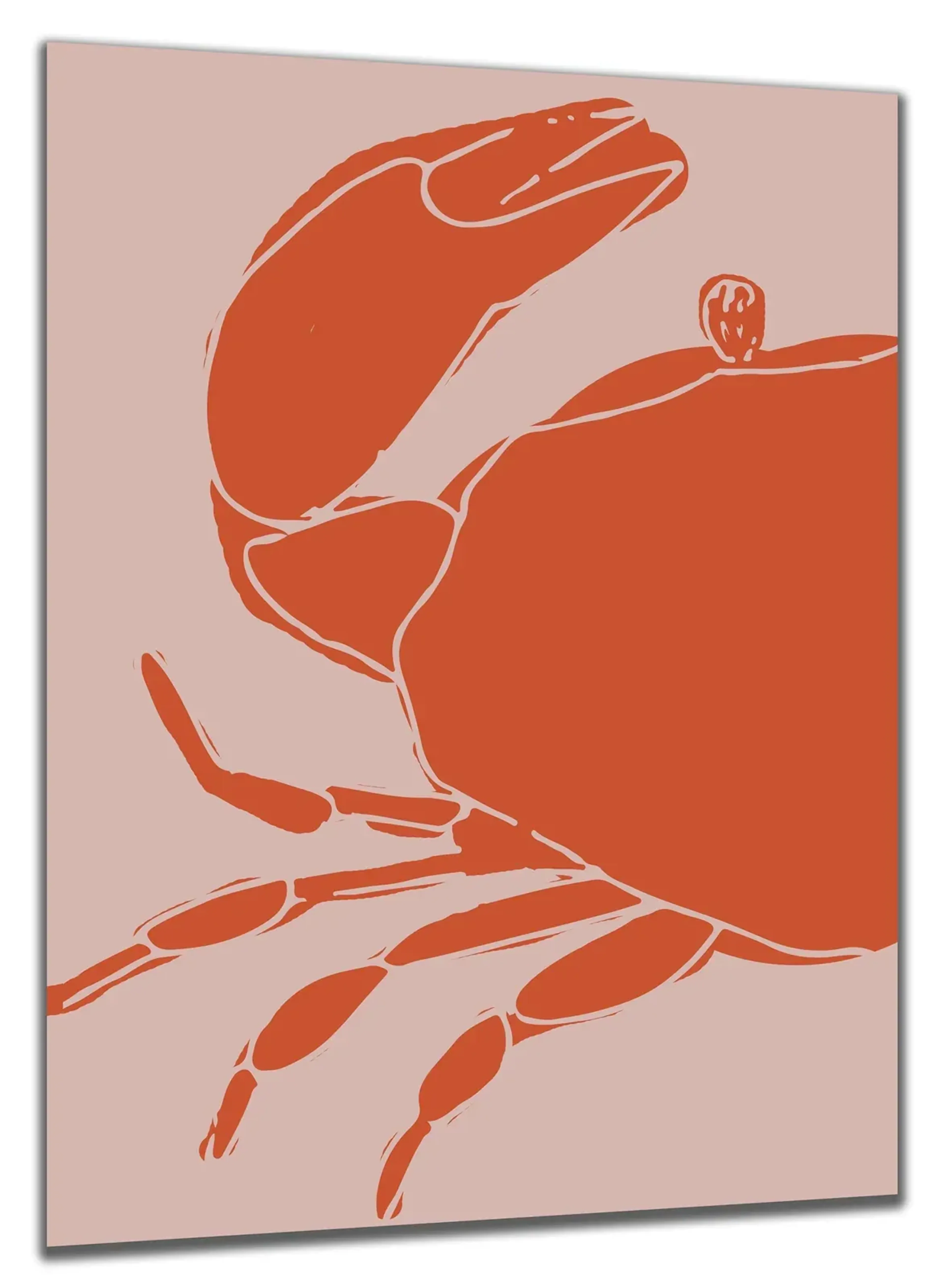 Krabbe rot – Ansicht 5