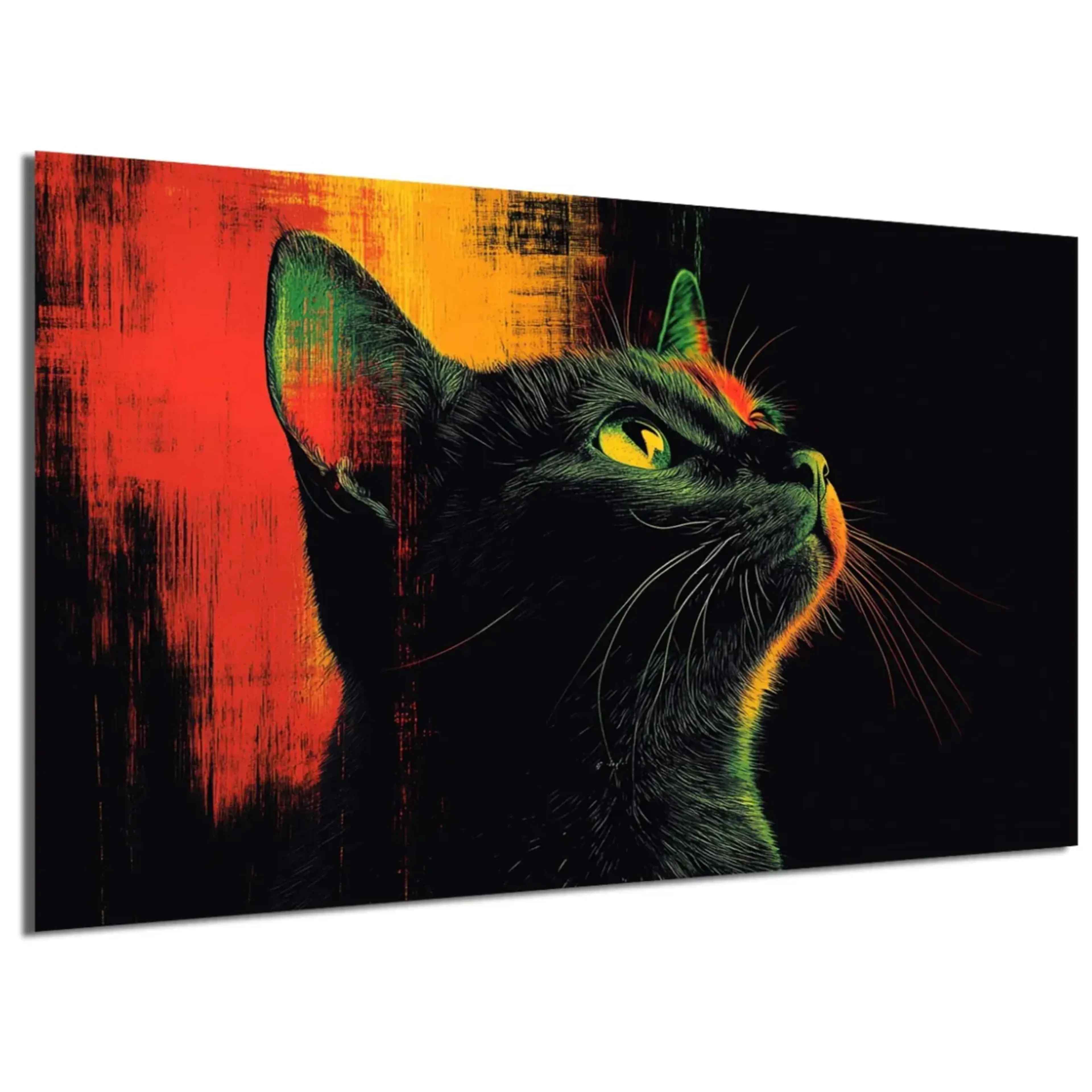 Katze im Farblicht – Ansicht 5