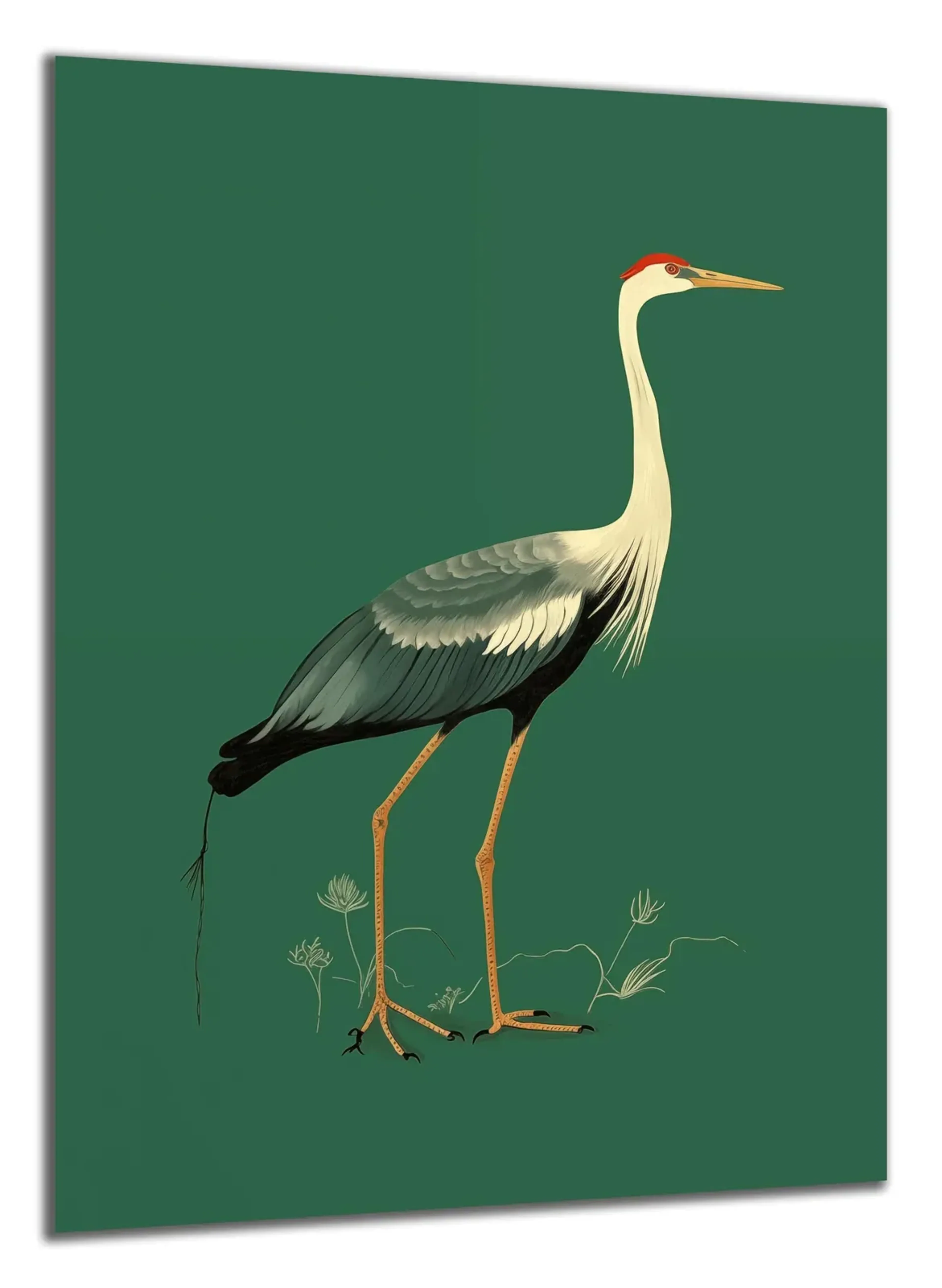 Langbeiniger Vogel auf Grün – Ansicht 5
