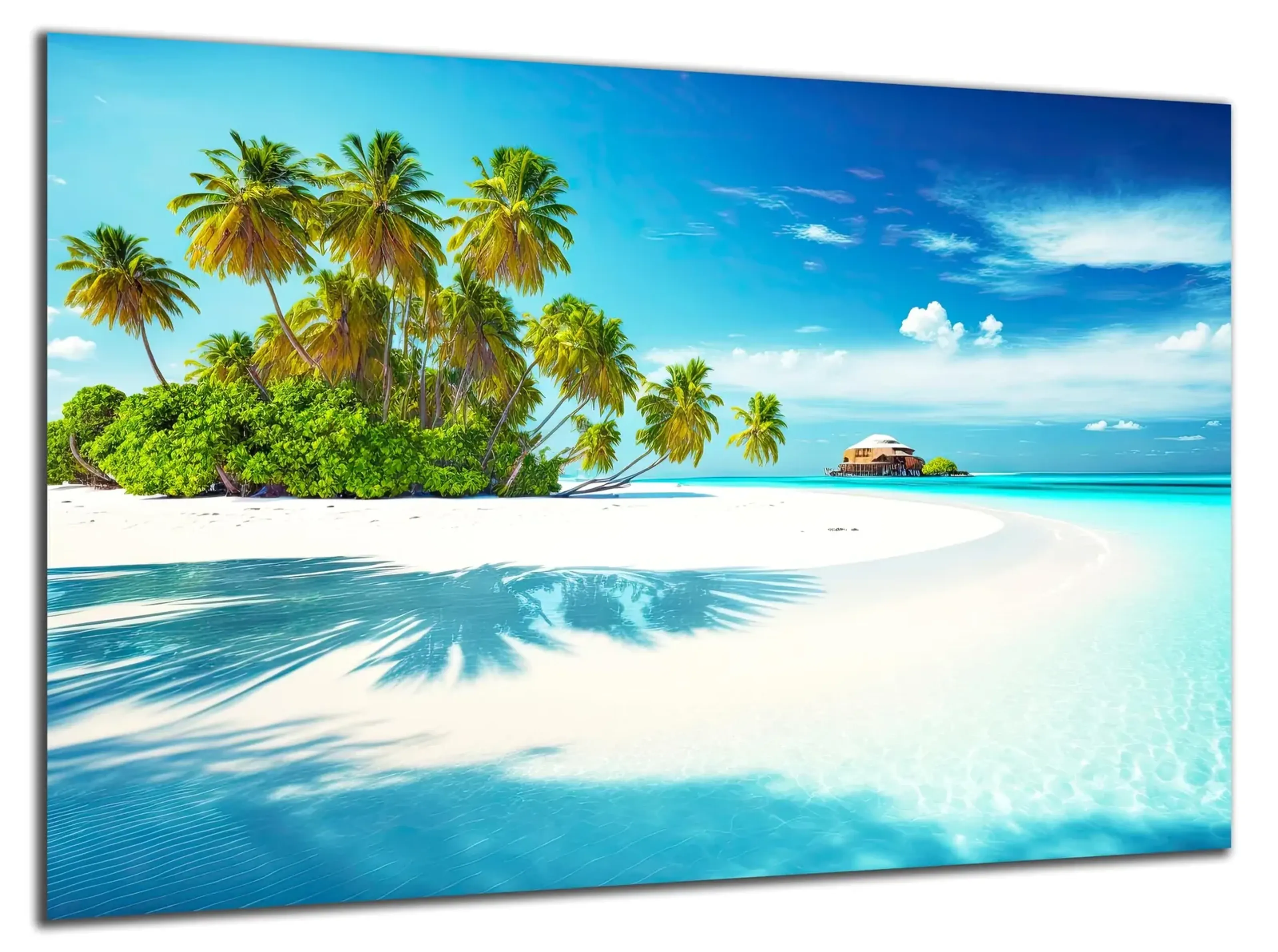 Palmen am weißen Strand – Ansicht 5