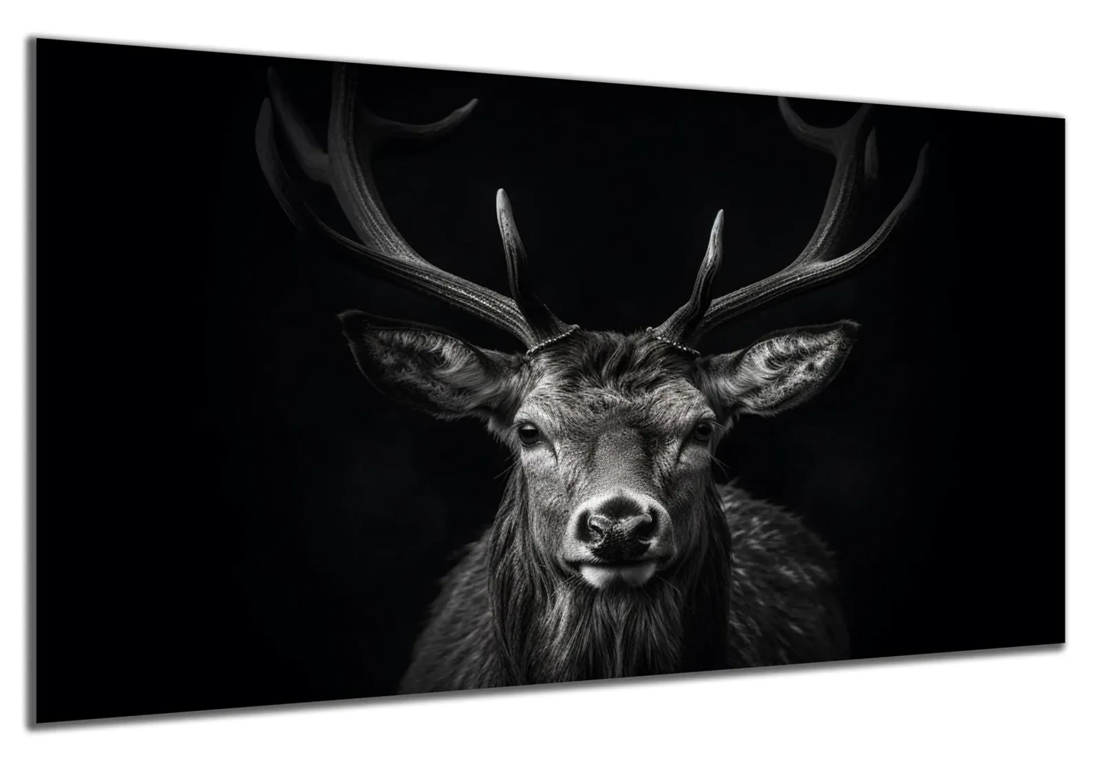 Hirsch in Schwarz-Weiß – Ansicht 5