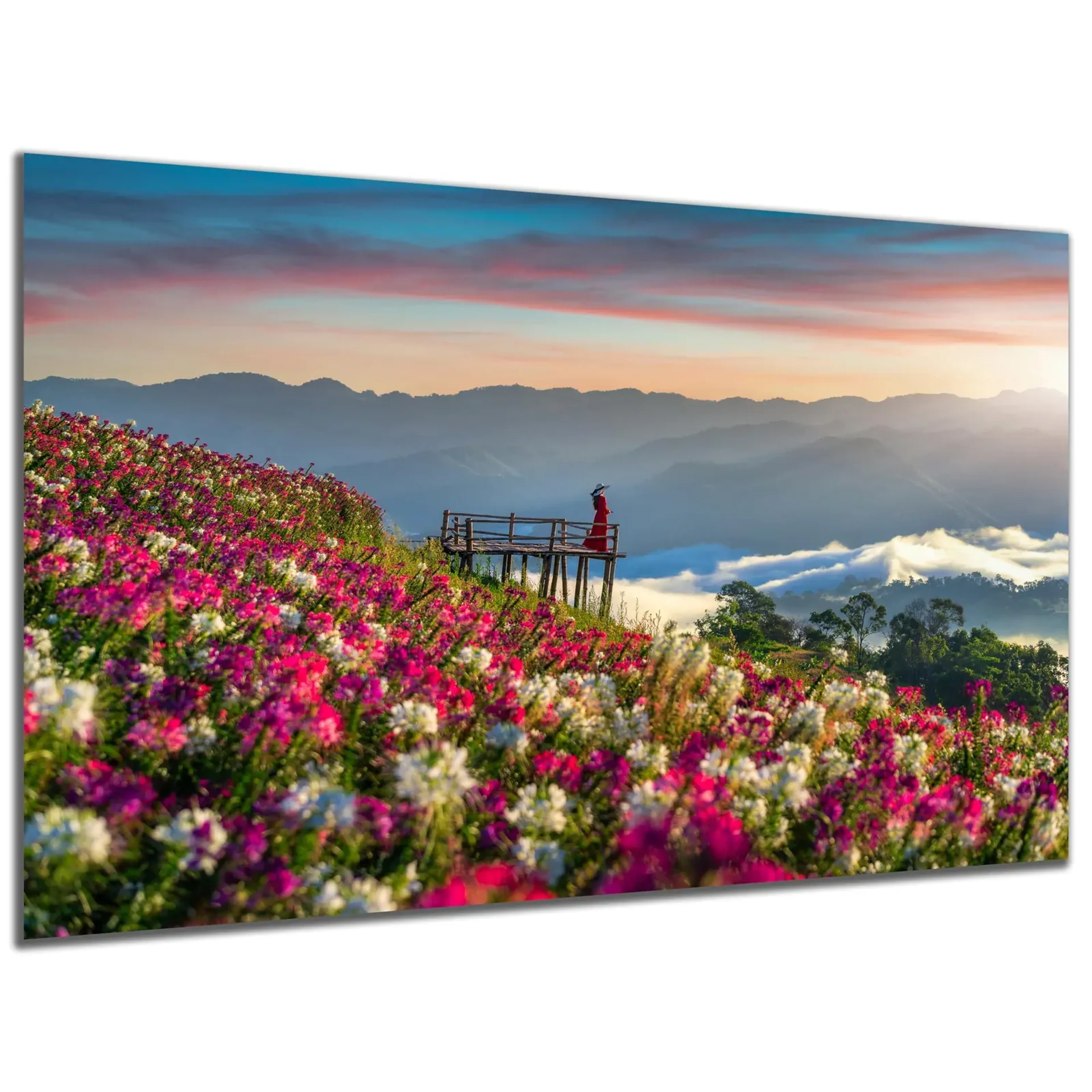 Blumenwiese – Ansicht 5