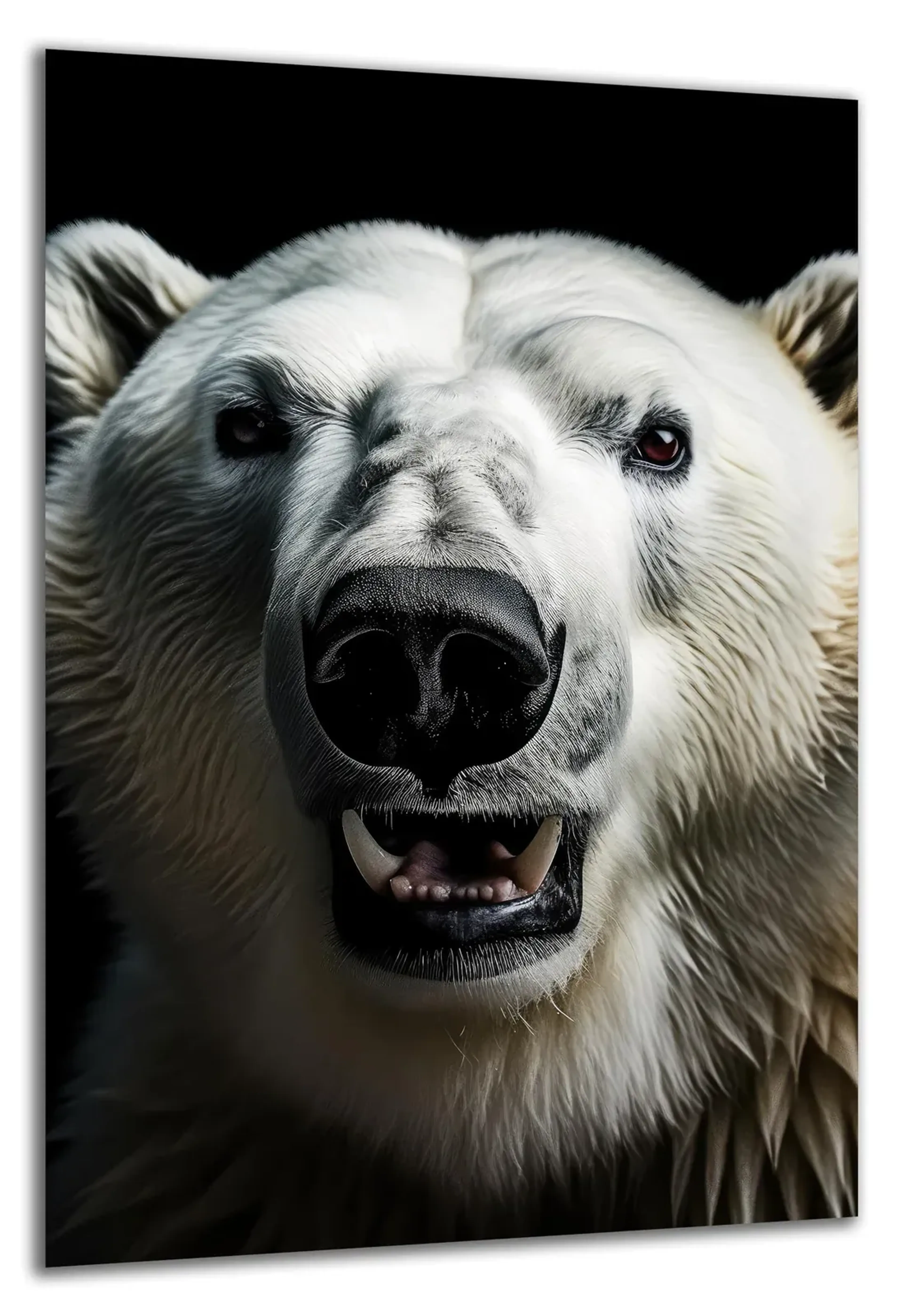 Portrait Eisbär – Ansicht 5