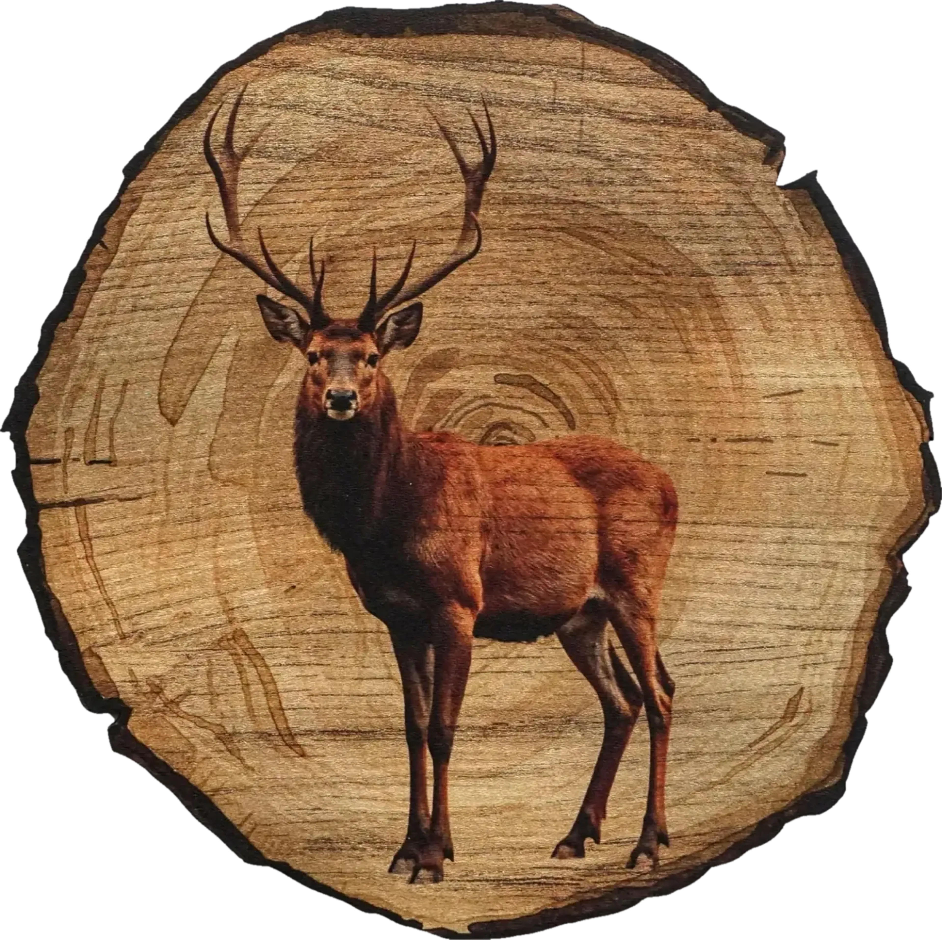 Ein stehender rotbrauner Hirsch mit verzweigtem Geweih vor einem runden Hintergrund in Baumscheibenoptik.