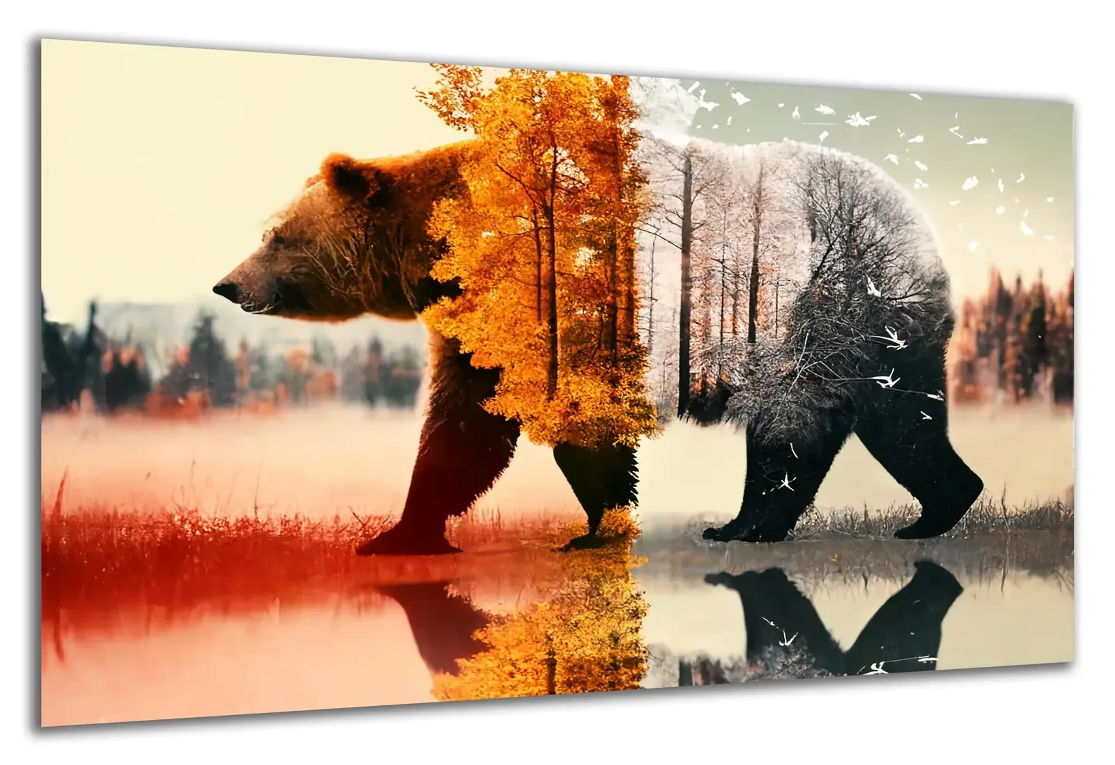 Bär zwischen Herbst und Winter – Ansicht 5