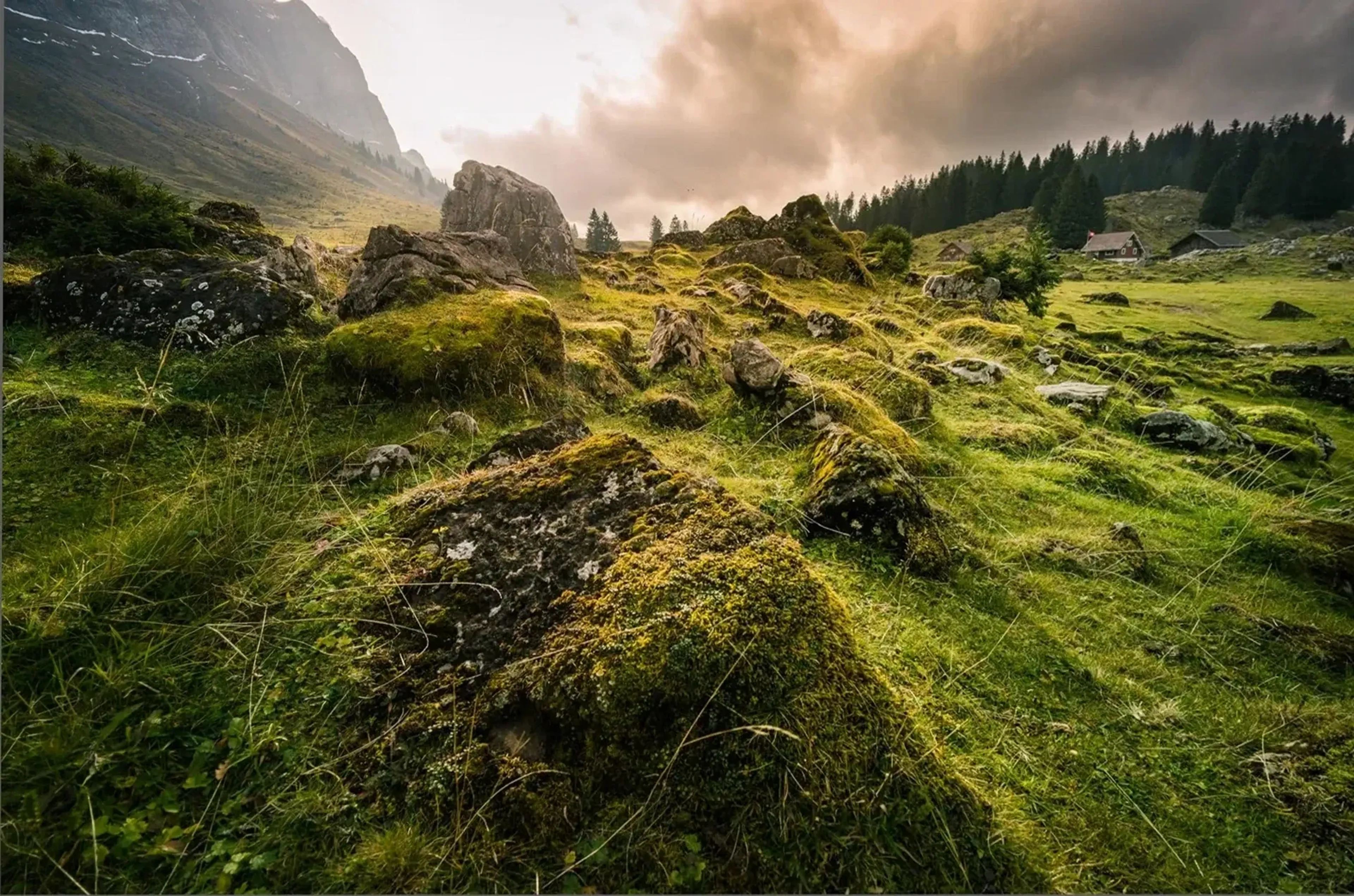 Moosbewachsene Felsen und Gras in einem Bergtal mit kleinen Hütten, Nadelwald und warm beleuchteten Wolken.