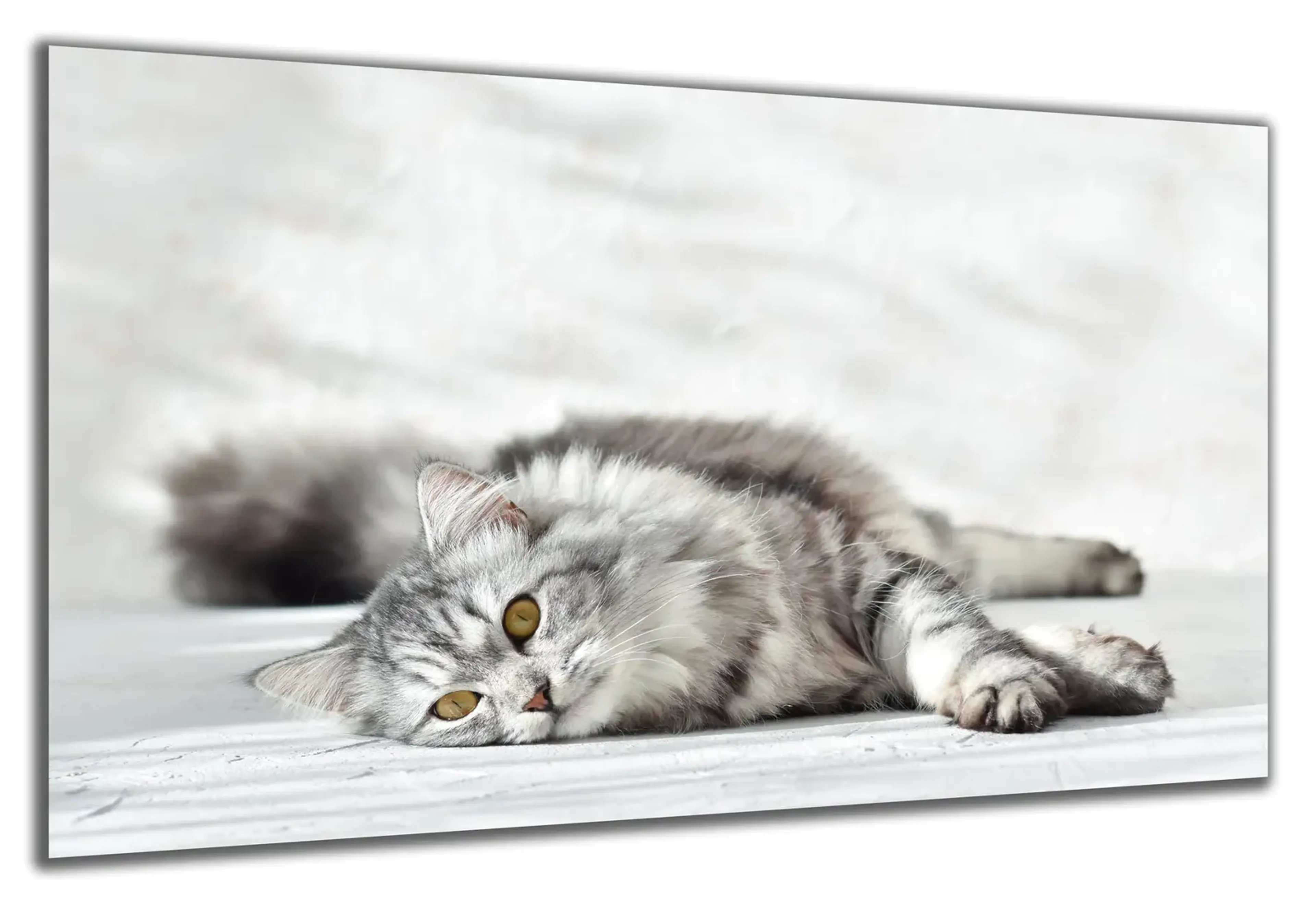 Liegende Katze – Ansicht 5