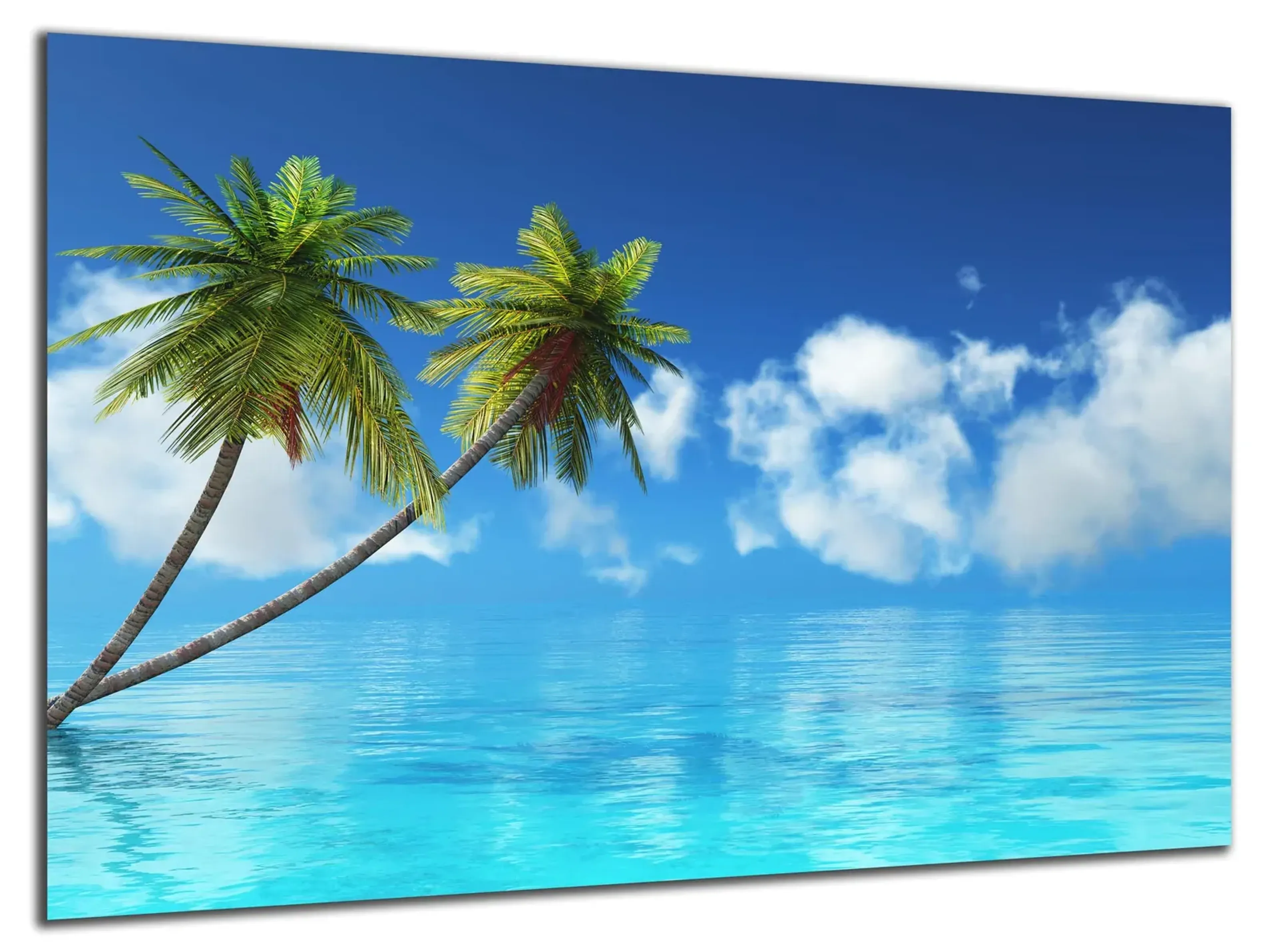 Palmen über türkisblauem Meer – Ansicht 5