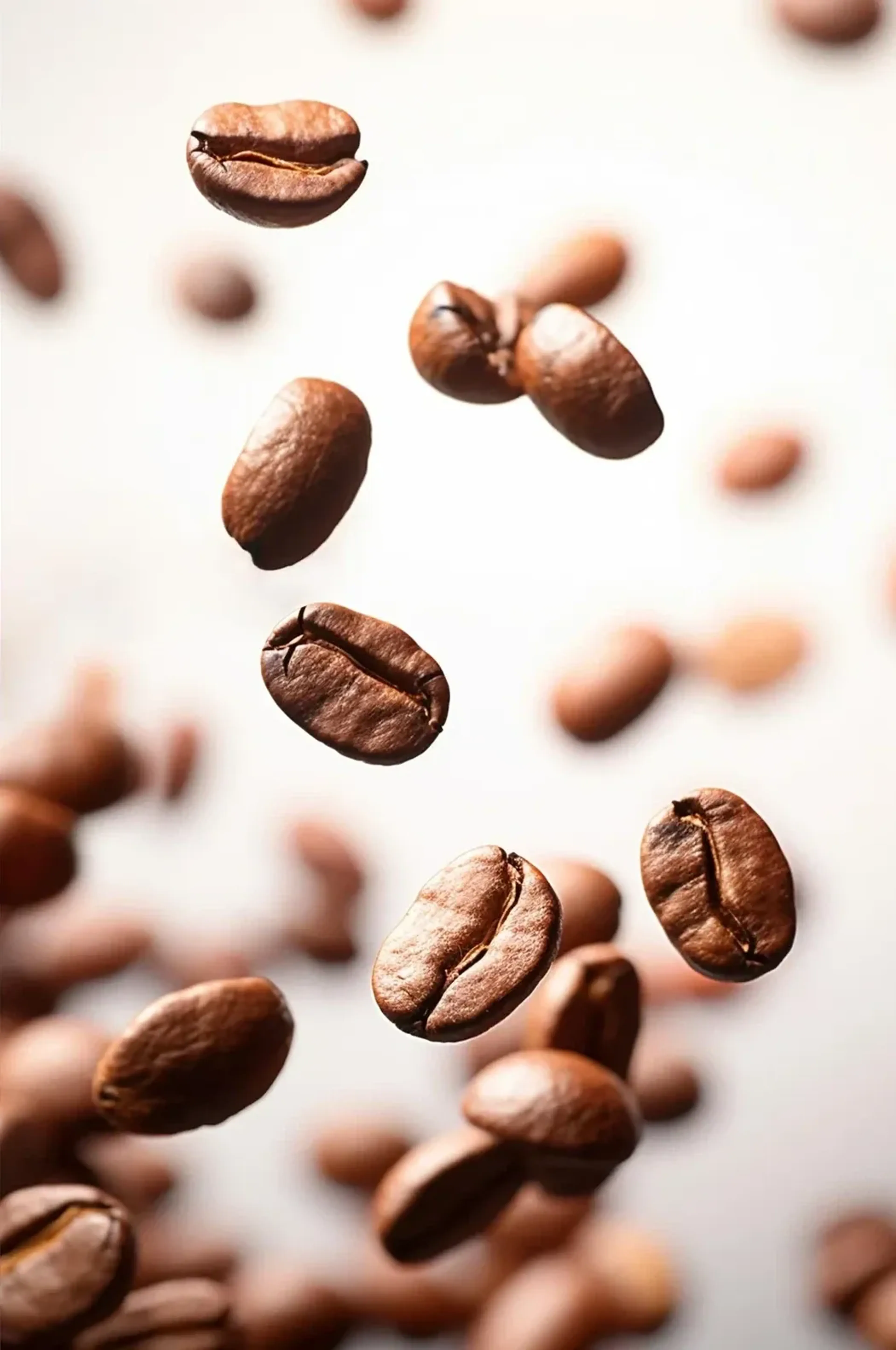 Braune Kaffeebohnen schweben vor hellem Hintergrund, teils scharf und teils unscharf dargestellt.