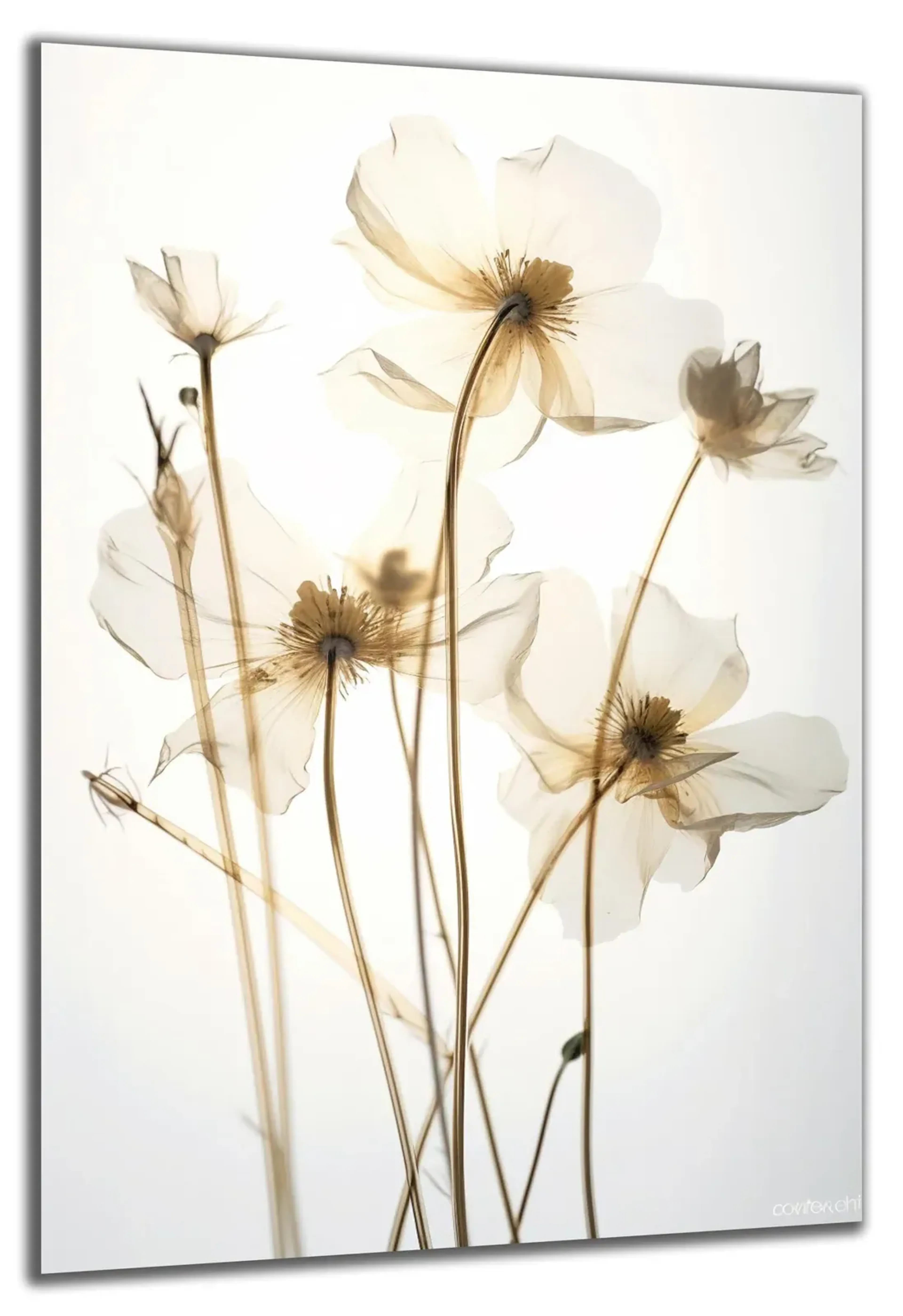 Zarte Blüten in Creme – Ansicht 5