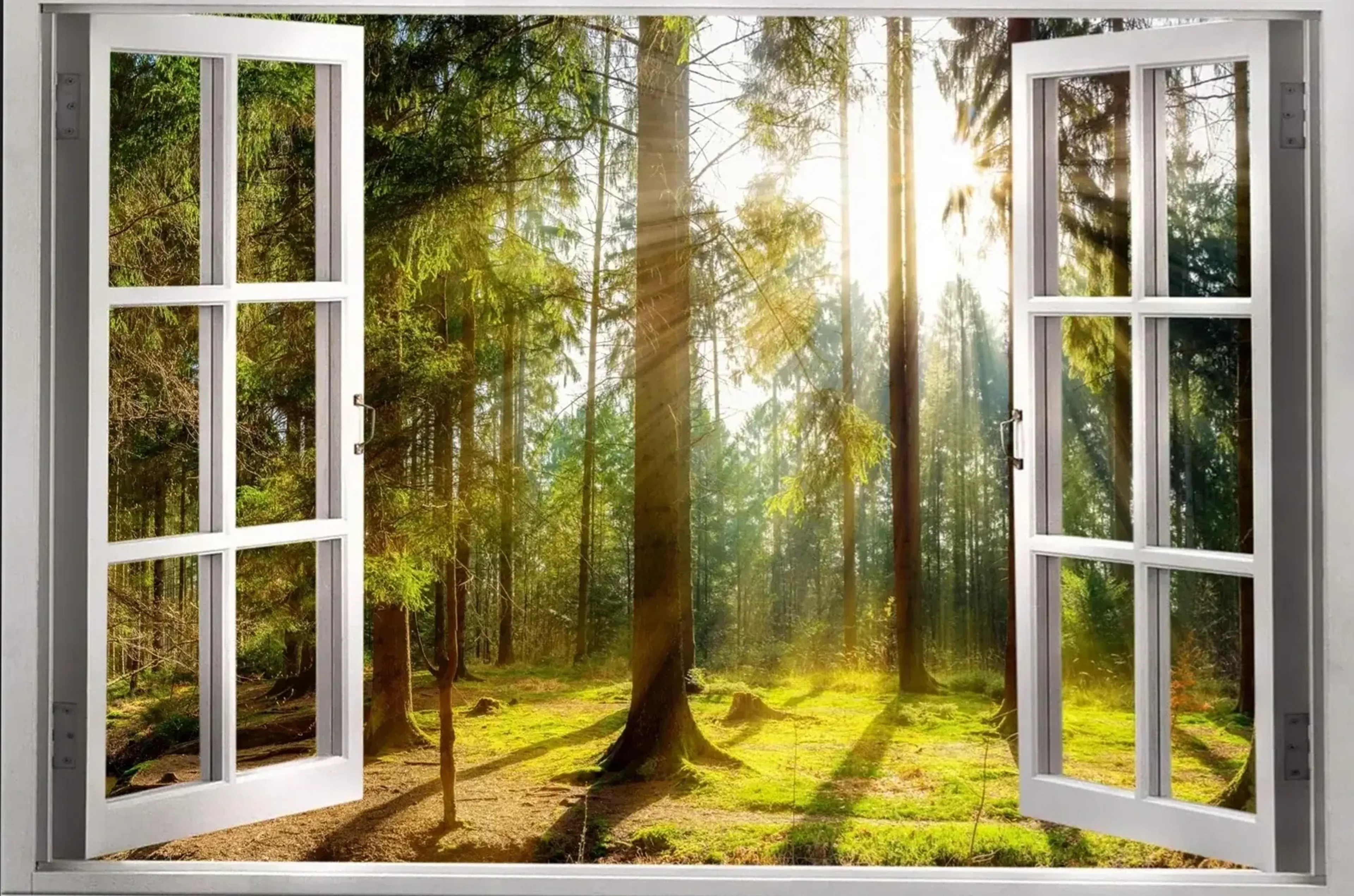 Offene weiße Fensterflügel rahmen einen grünen Wald mit hohen Bäumen und Sonnenstrahlen auf dem moosigen Boden.