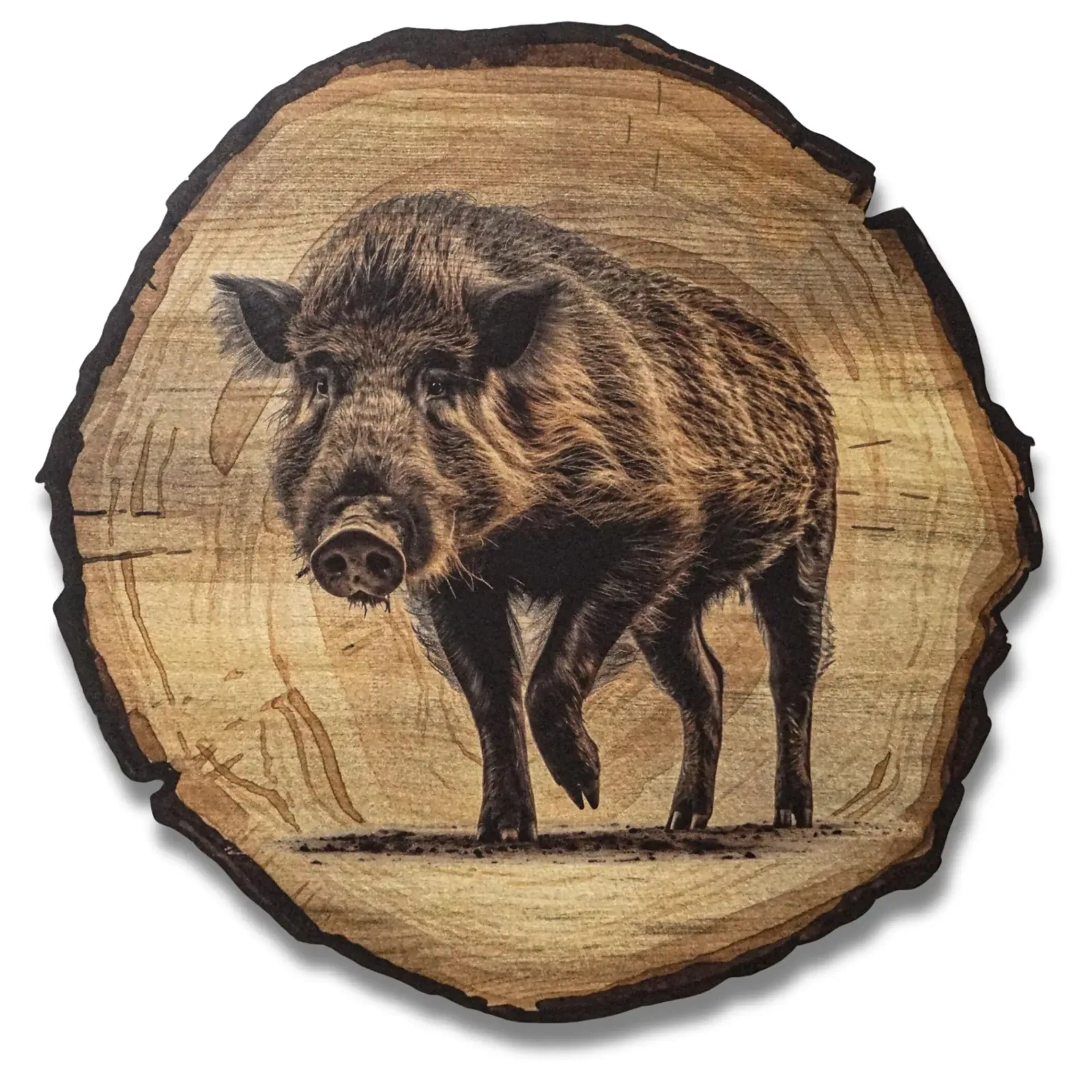 Wildschwein – Ansicht 5