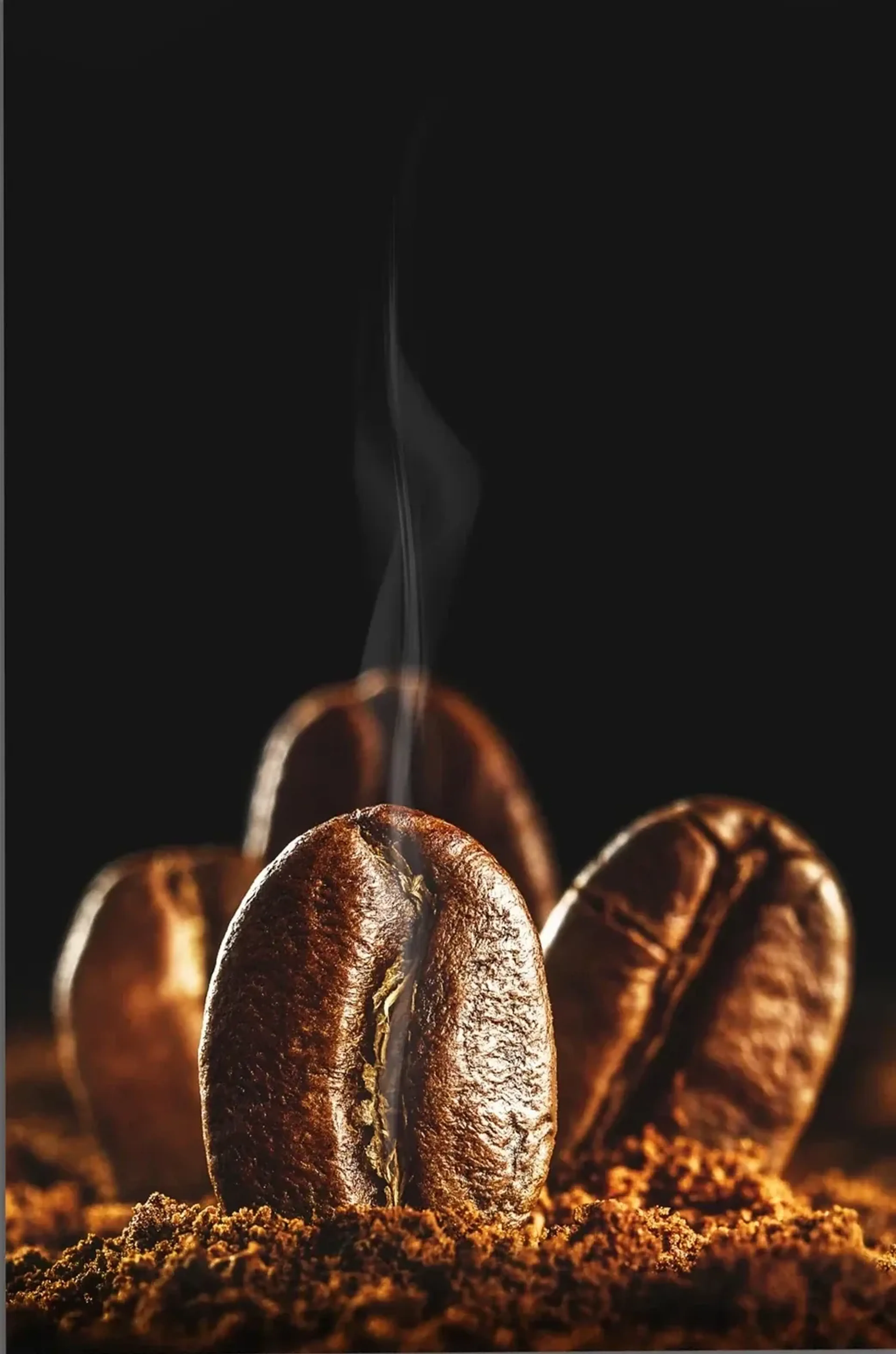 Große Kaffeebohnen auf Kaffeepulver, von warmem Licht beleuchtet, mit feinem Dampf vor schwarzem Hintergrund.
