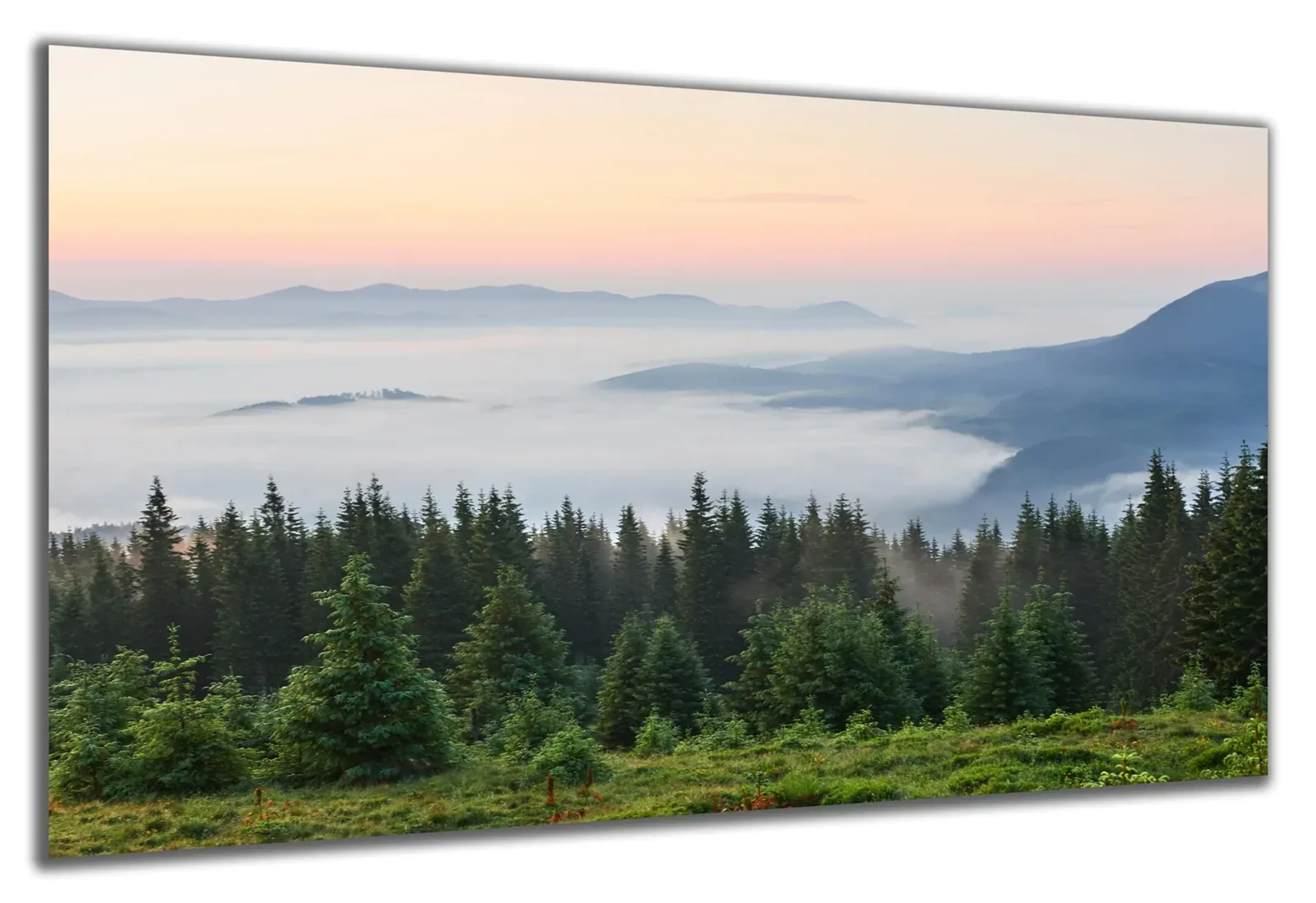 Wald über dem Nebelmeer – Ansicht 5