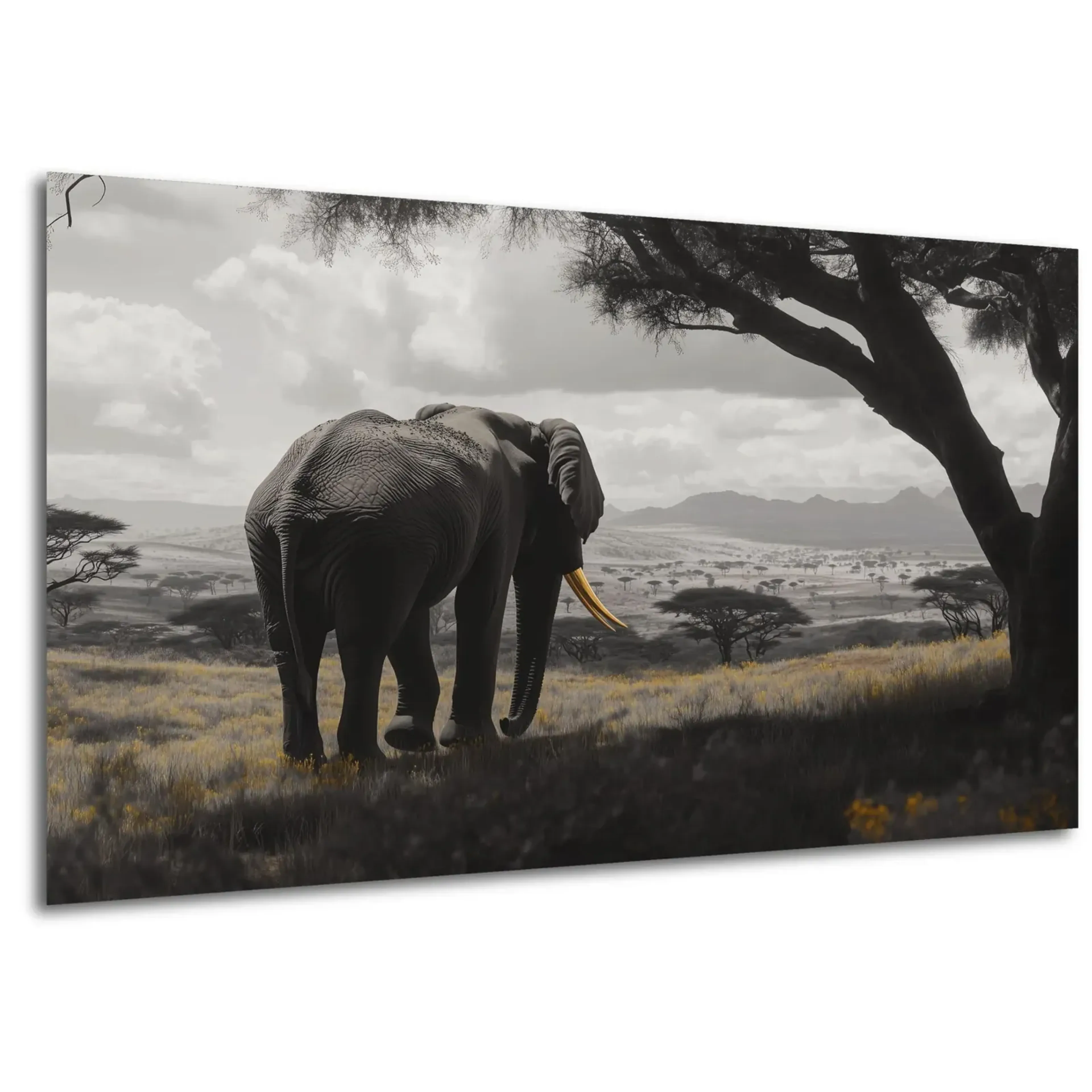 Elefant unter weitem Himmel – Ansicht 5