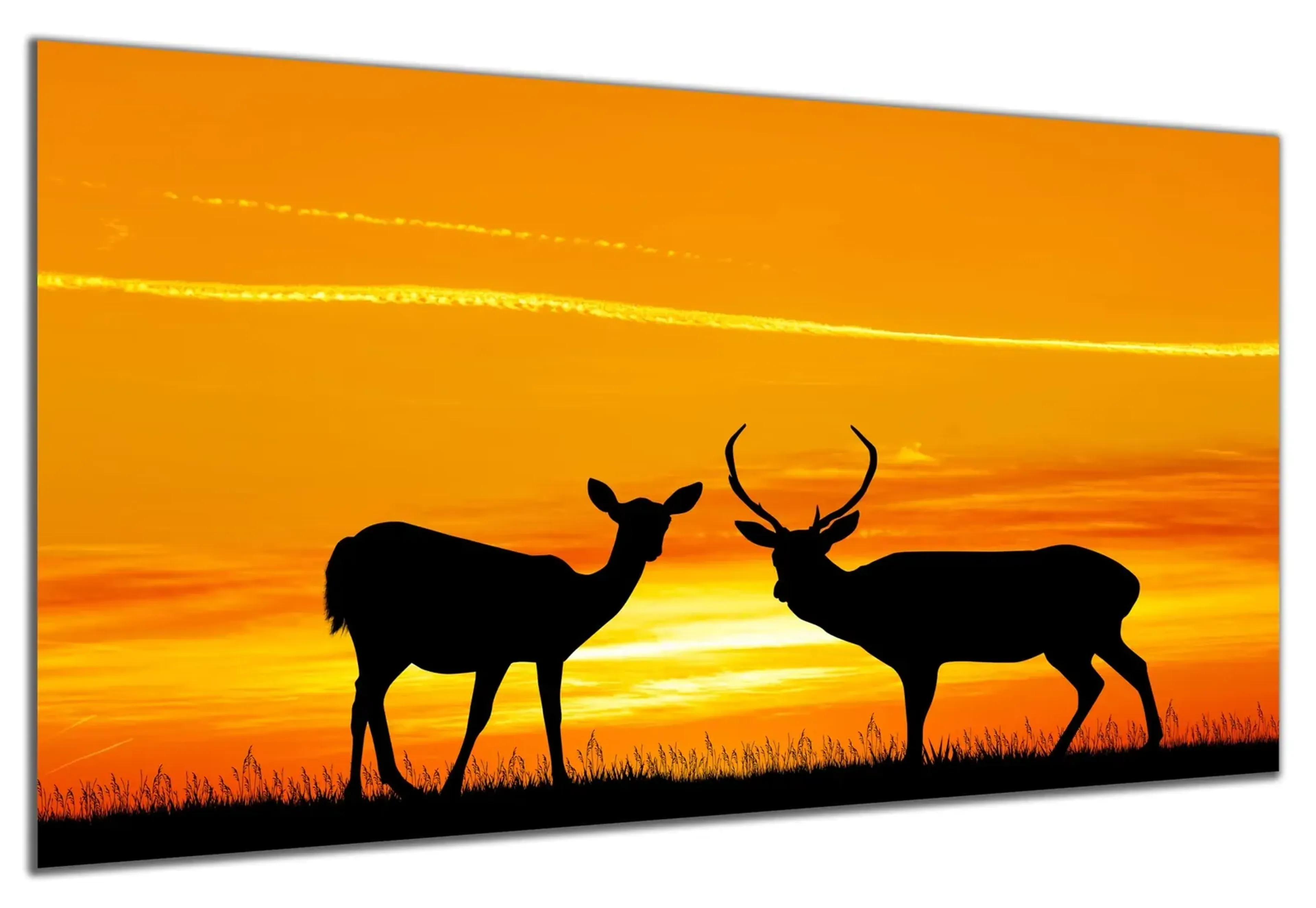 Hirschpaar im Sonnenuntergang – Ansicht 5