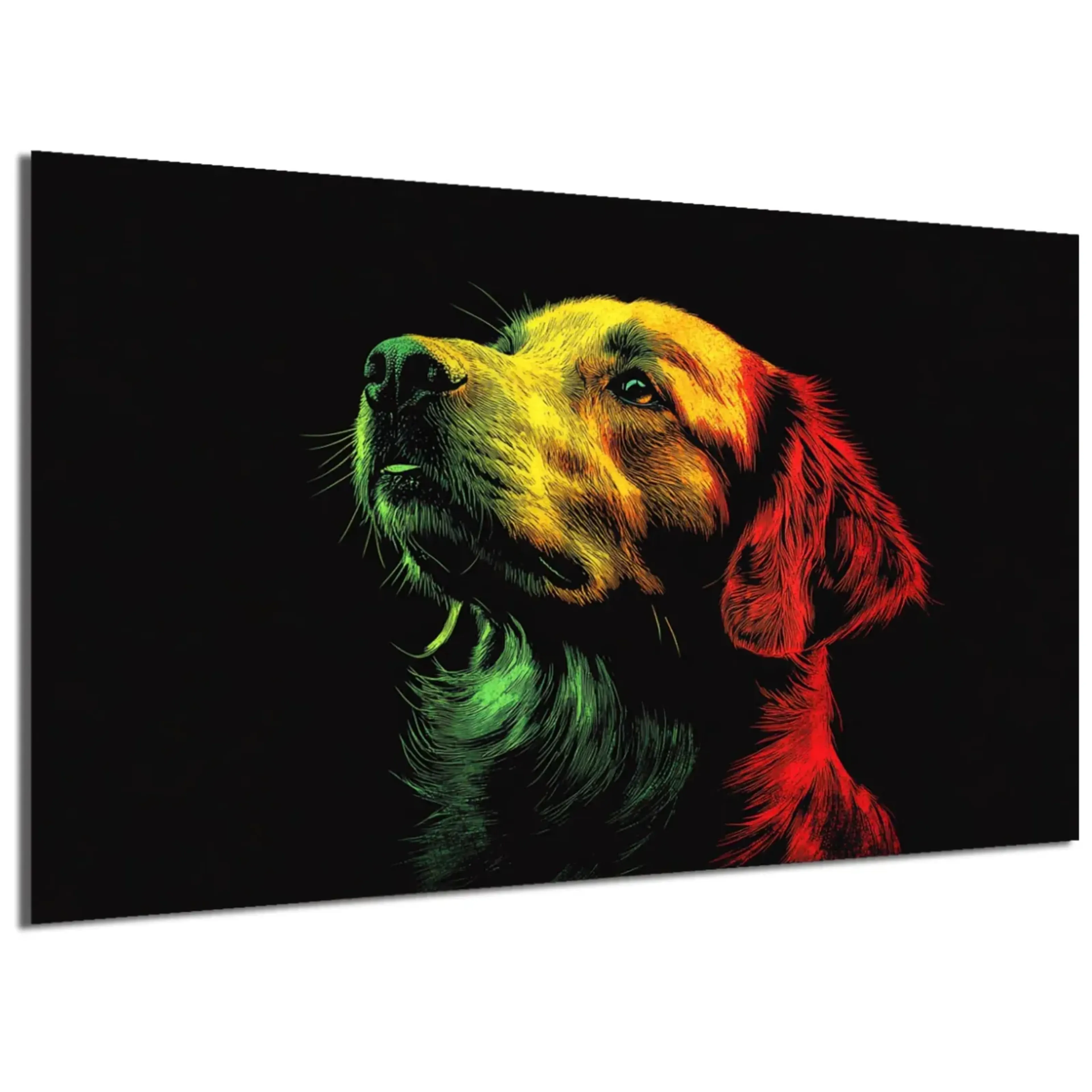 Golden Retriever – Ansicht 5