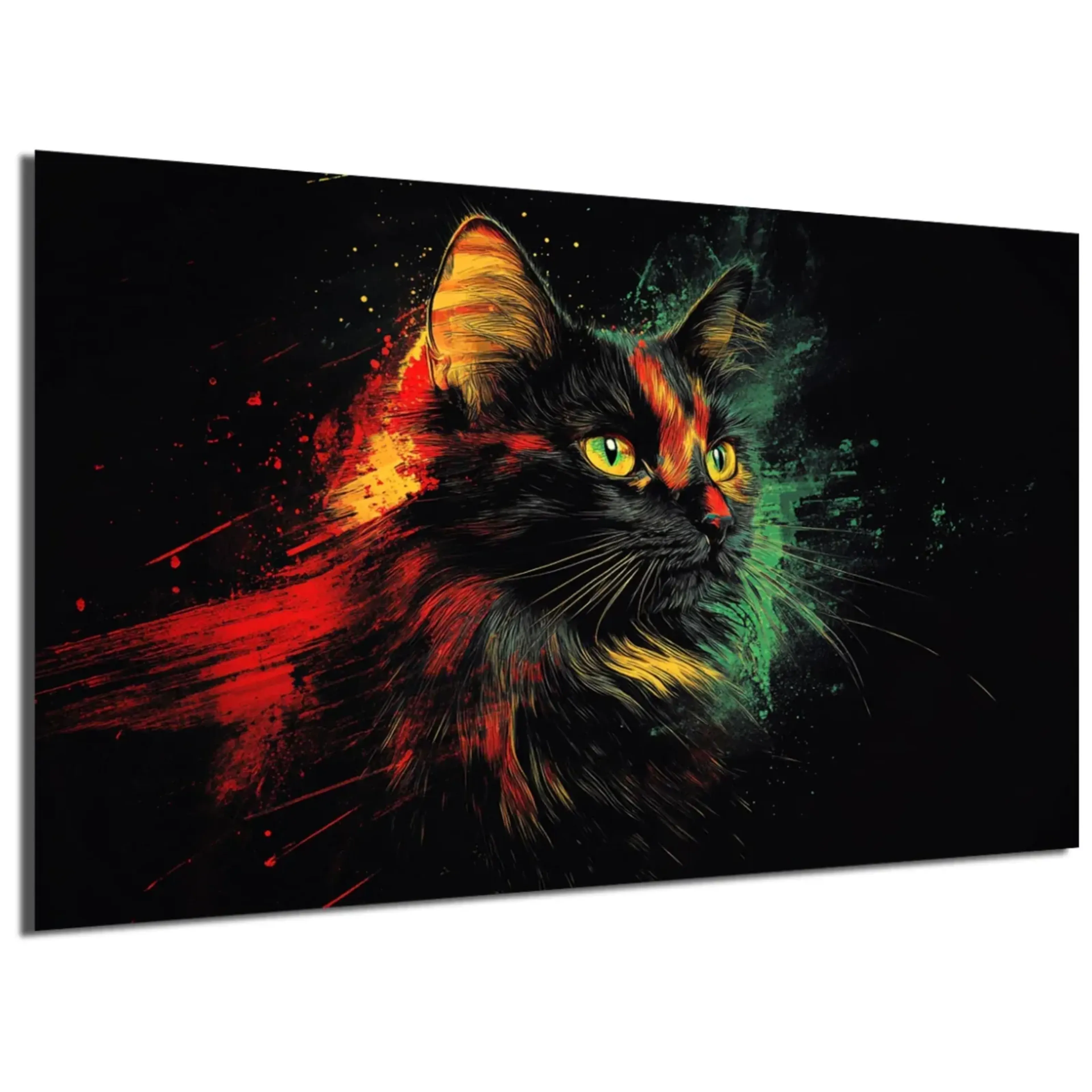 Maine Coon – Ansicht 5