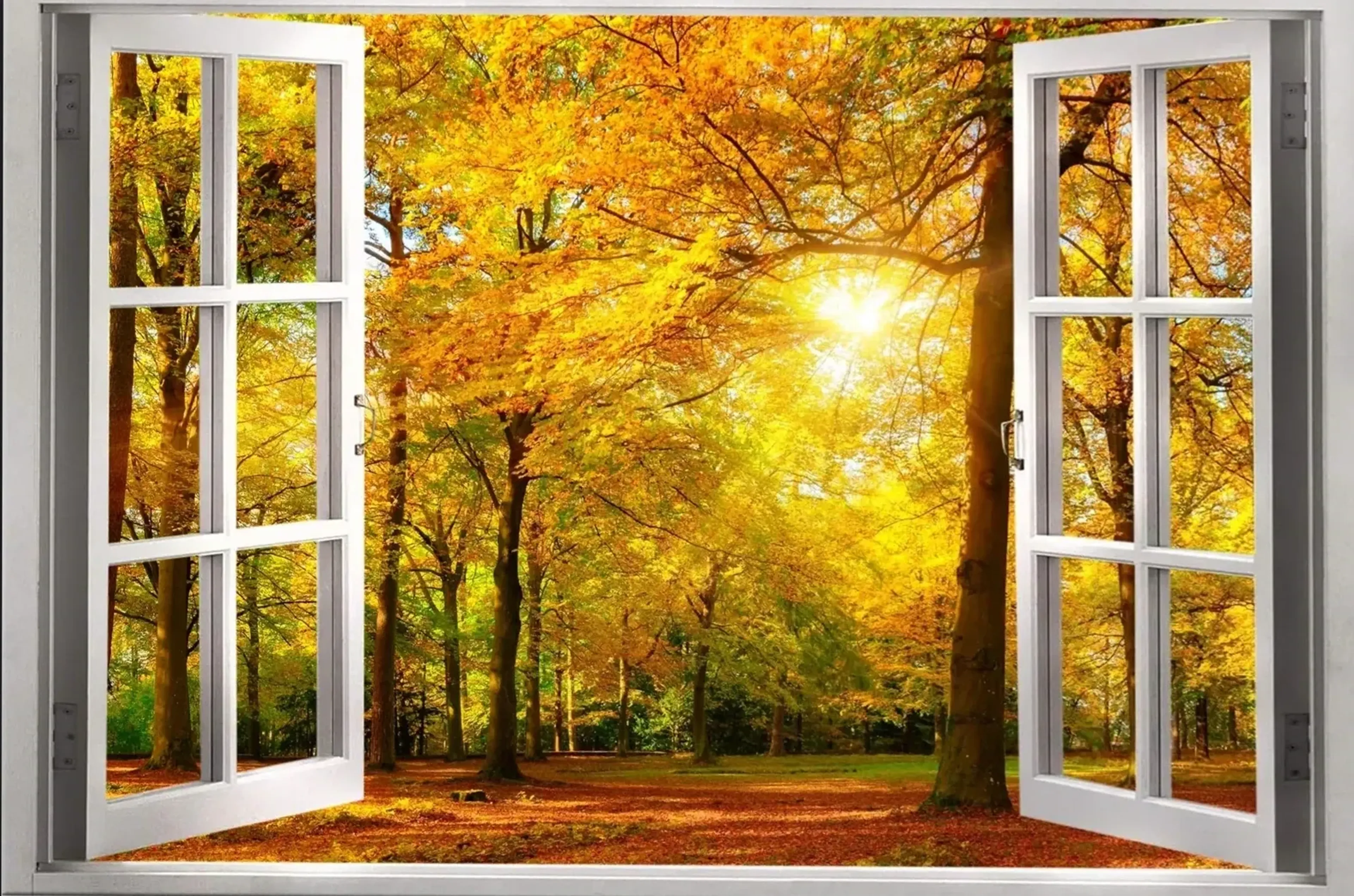 Sonnenlicht im Herbstwald – Motiv als Wandbild auf Holz