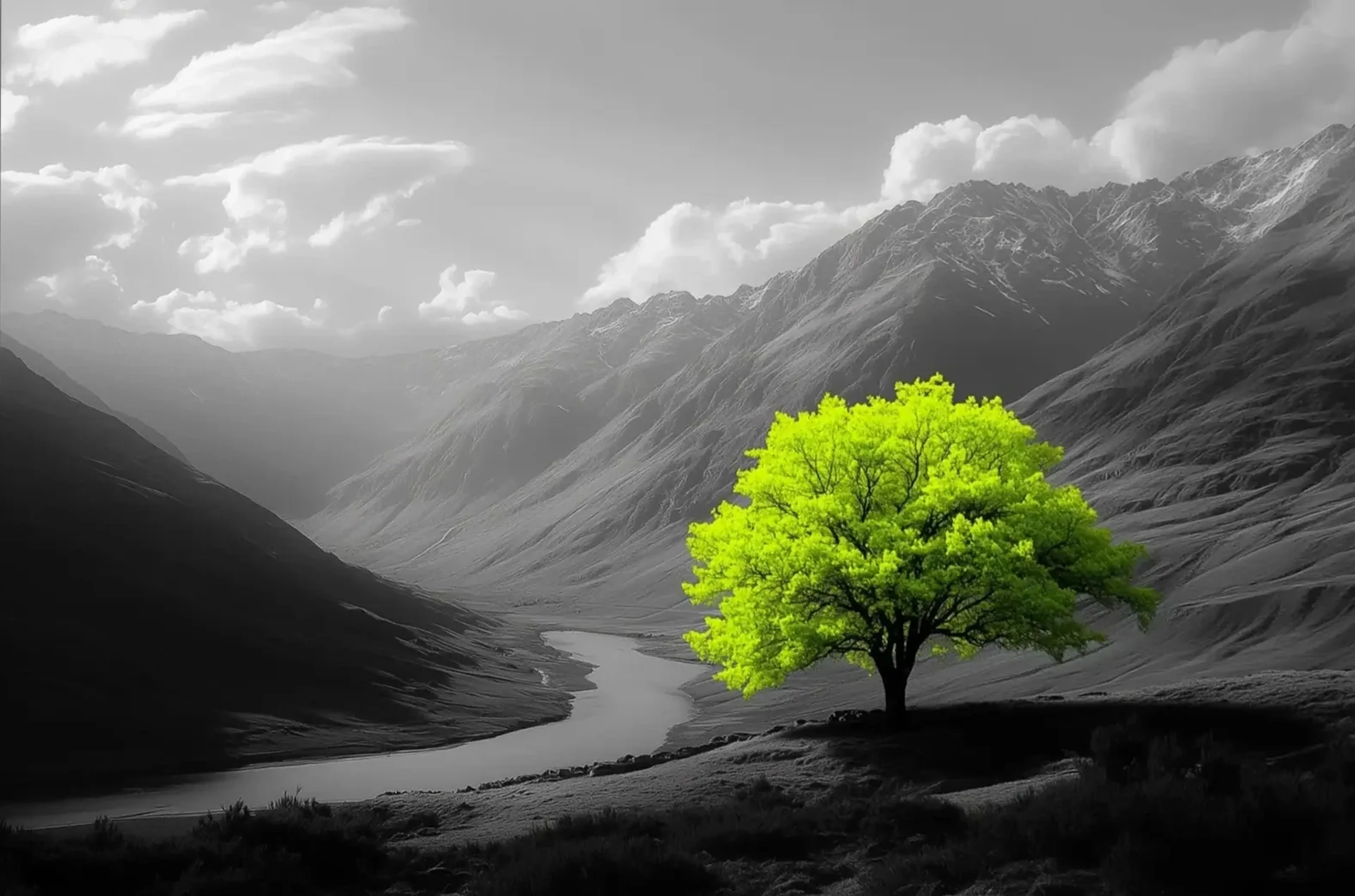 Ein leuchtend grüner Baum über einem gewundenen Fluss in einer grauen Berglandschaft.