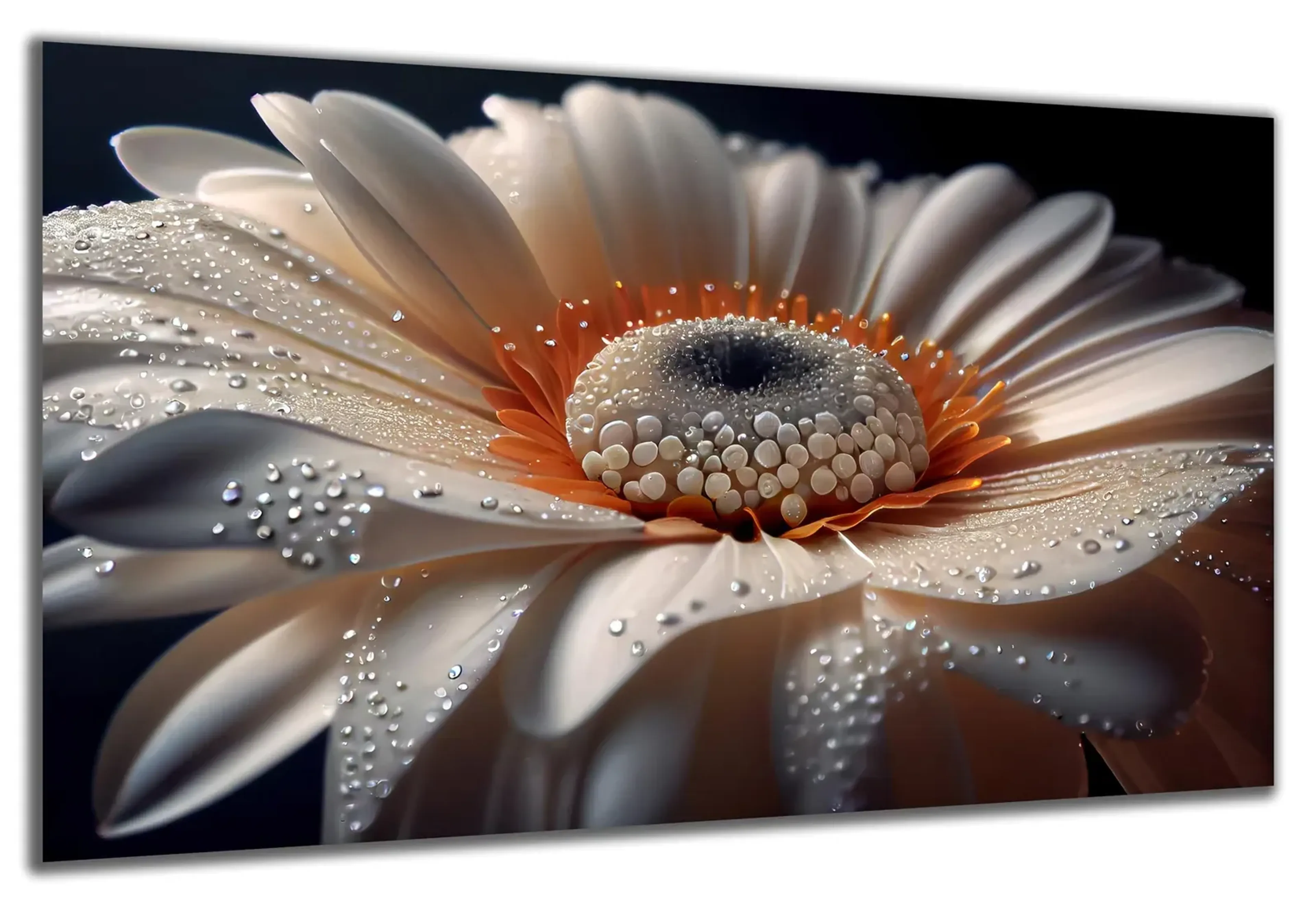 Blüte mit Wassertropfen – Ansicht 5
