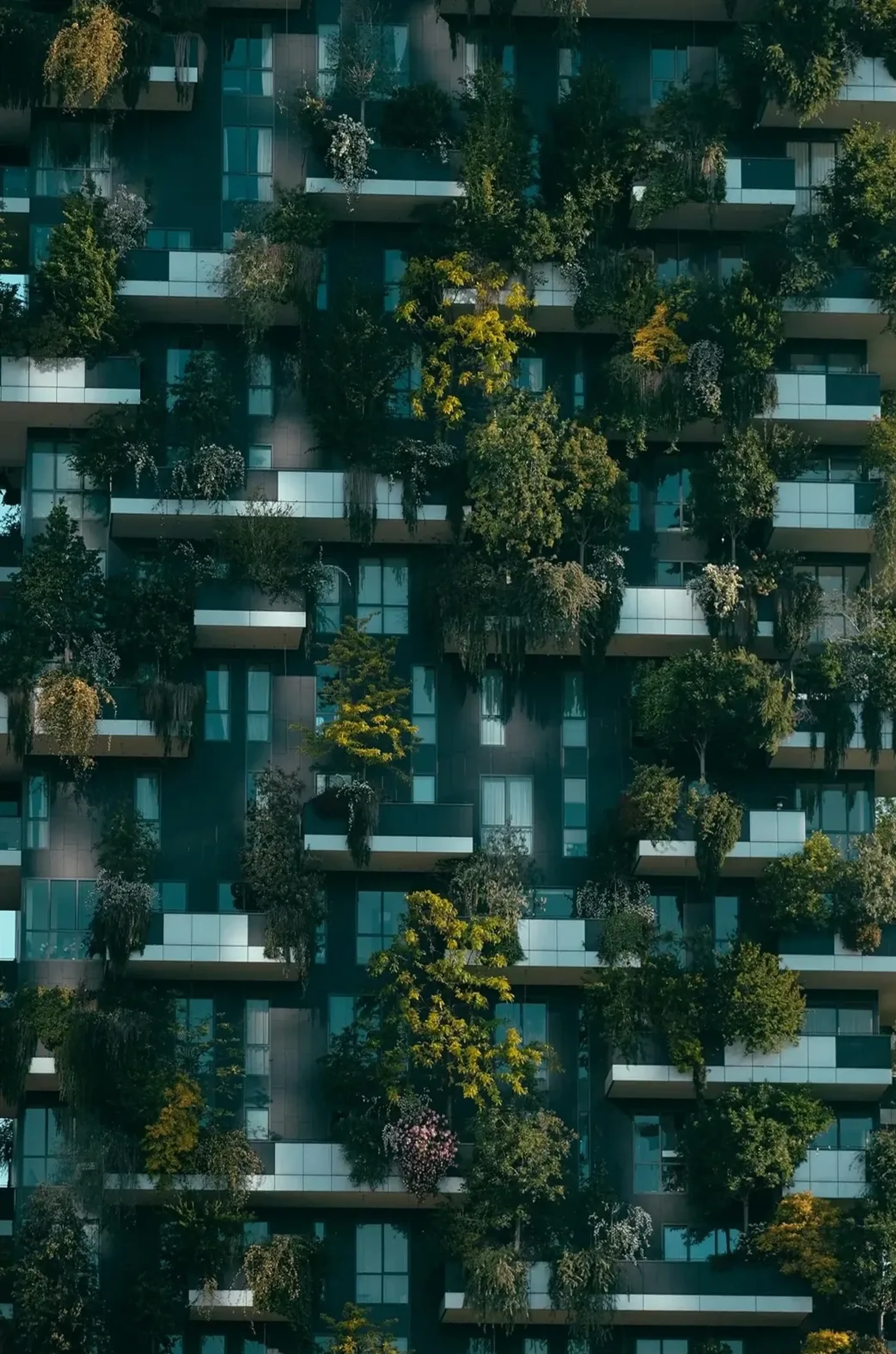 Grüne Fassade – Motiv als Wandbild auf Holz