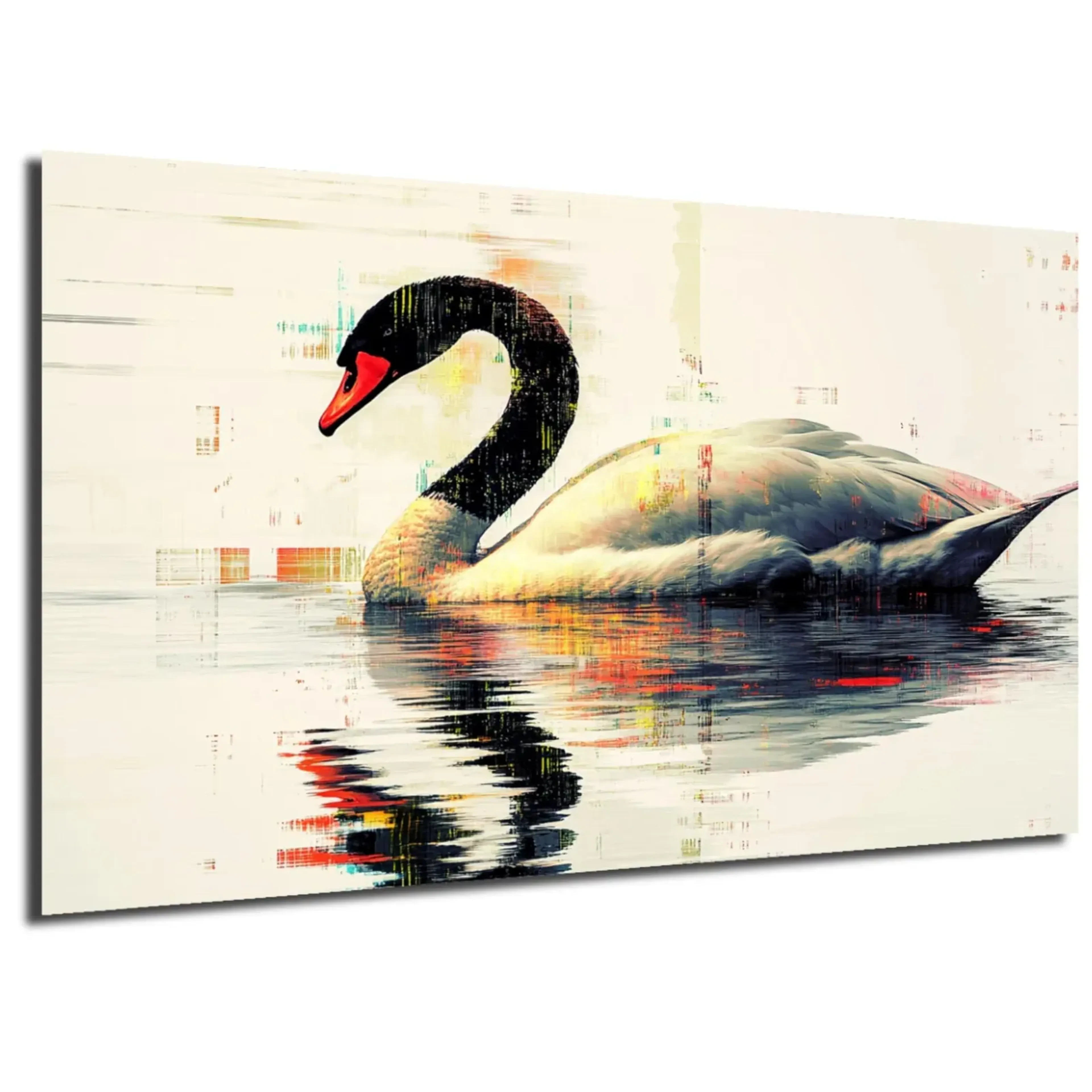 Schwan mit schwarzem Hals – Ansicht 5