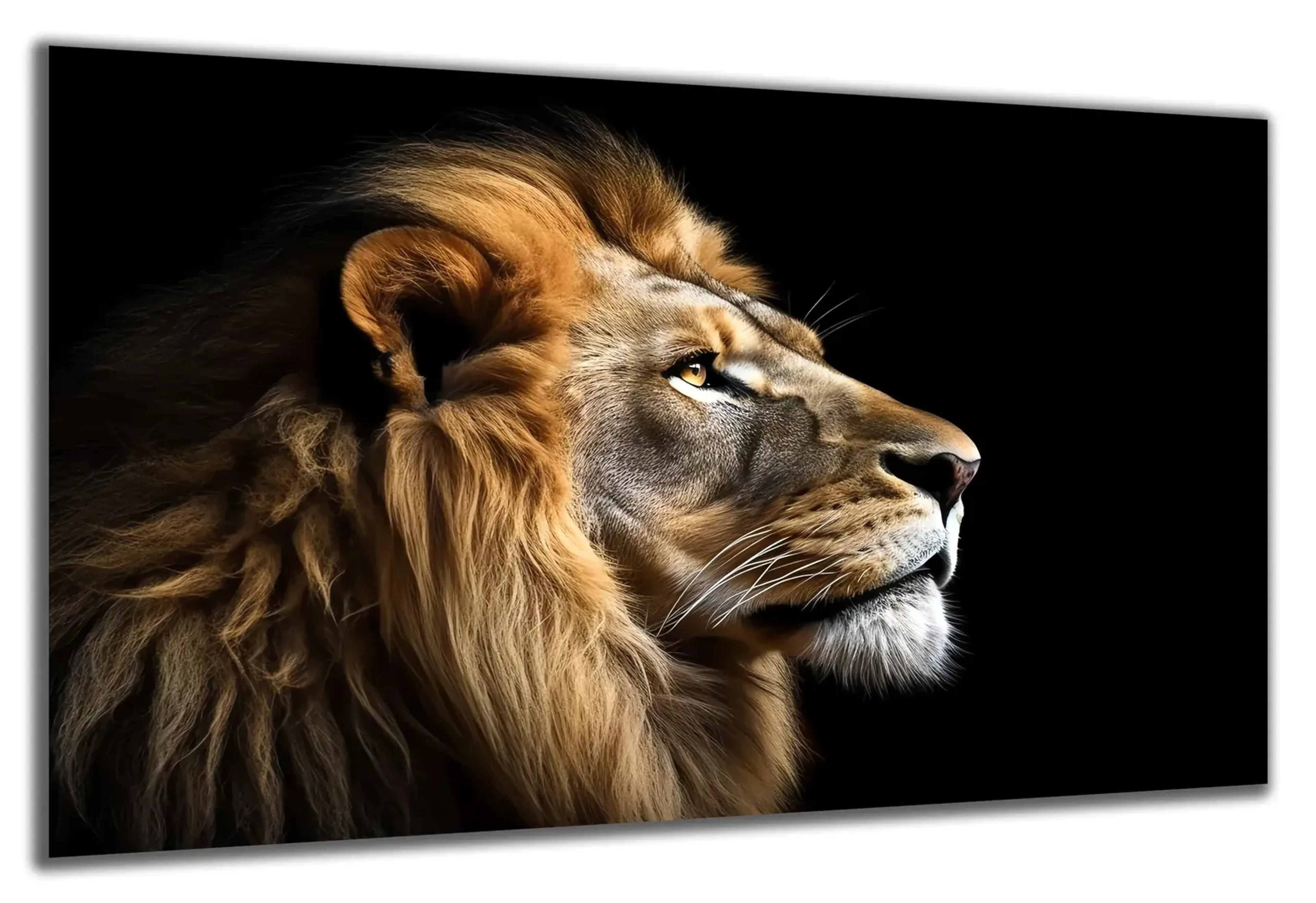 Löwe im Profil – Ansicht 5