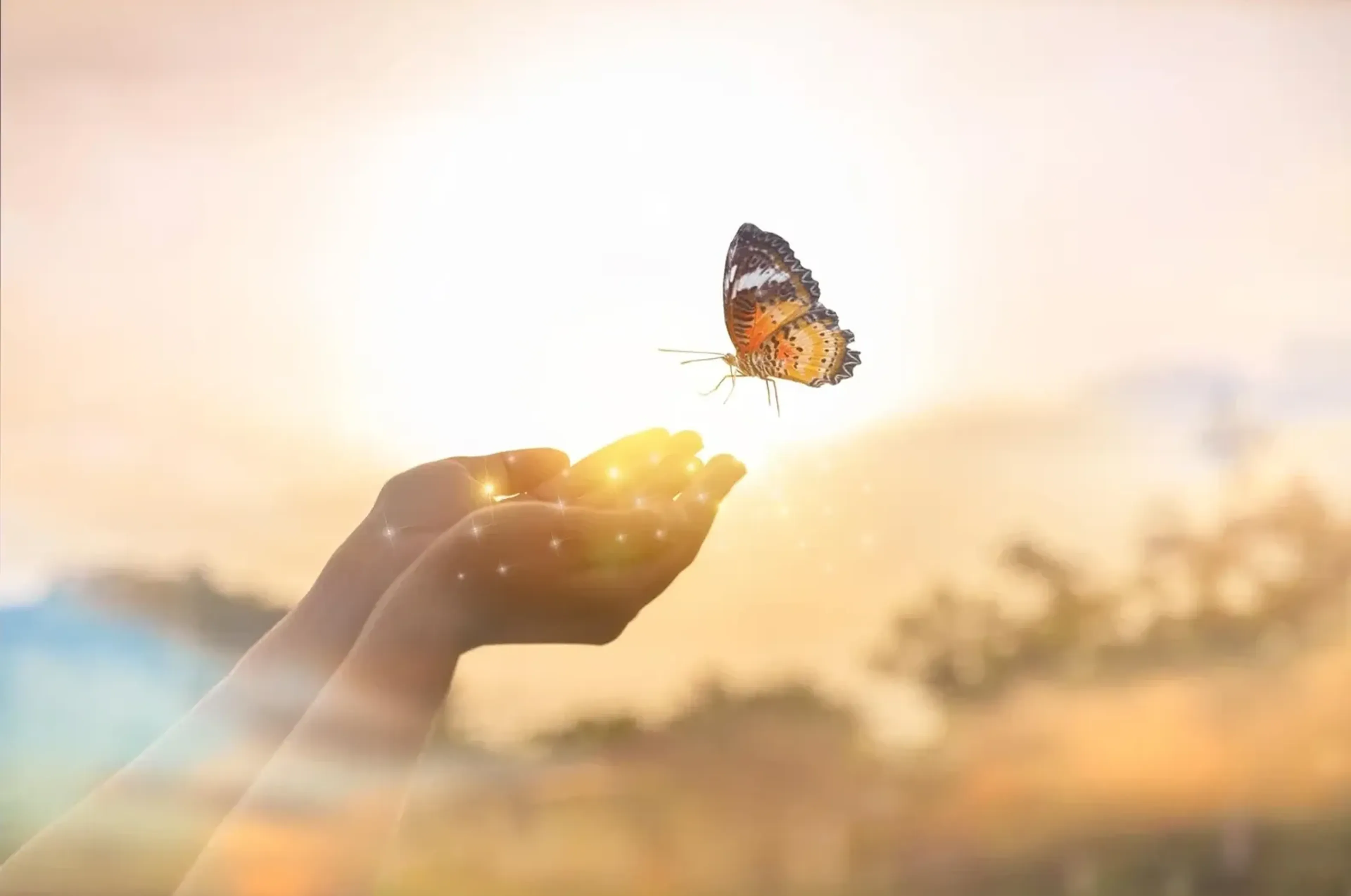 Ein orange-schwarzer Schmetterling schwebt über geöffneten Händen in goldenem Sonnenlicht.