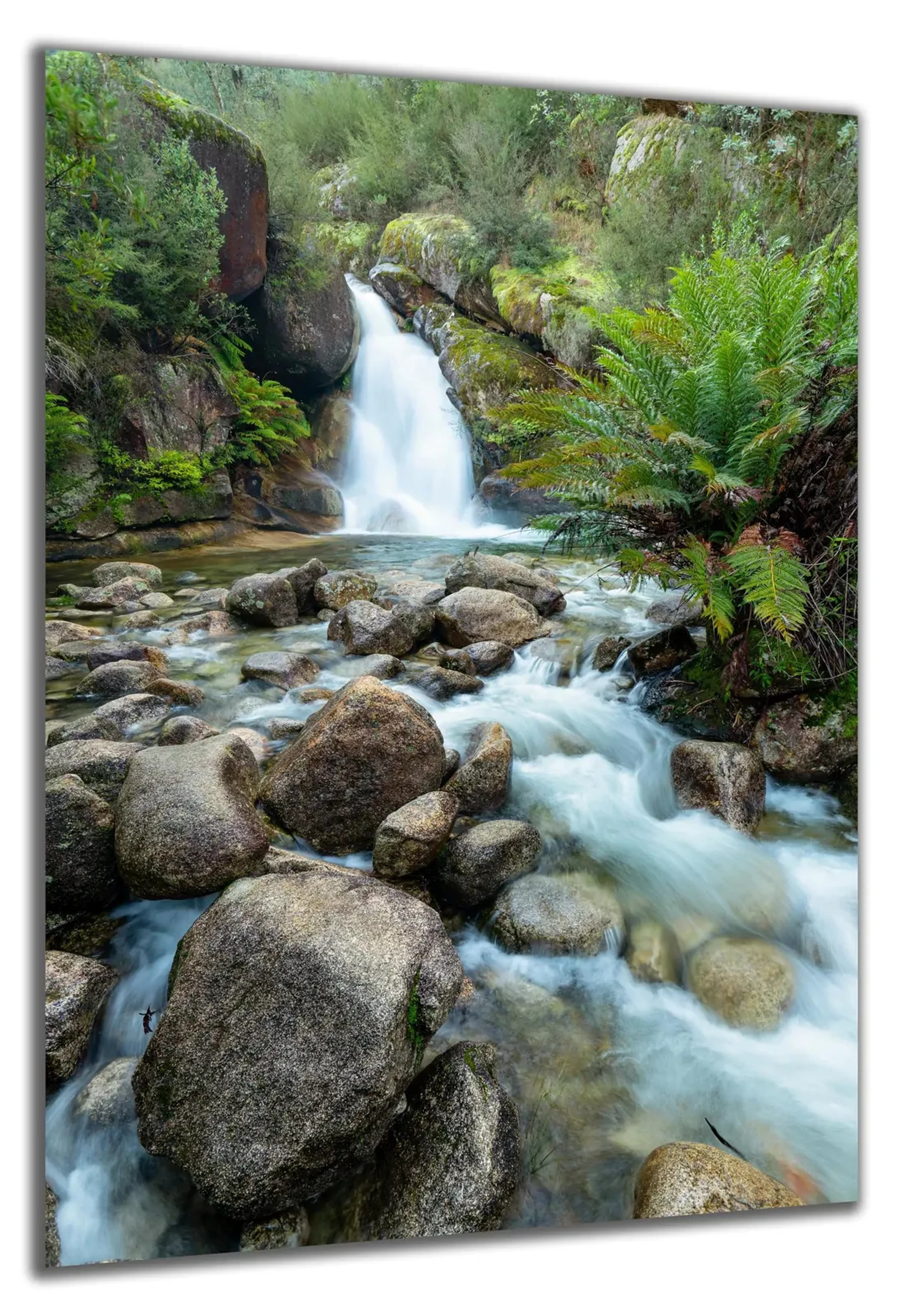 Wasserfall im Wald – Ansicht 5