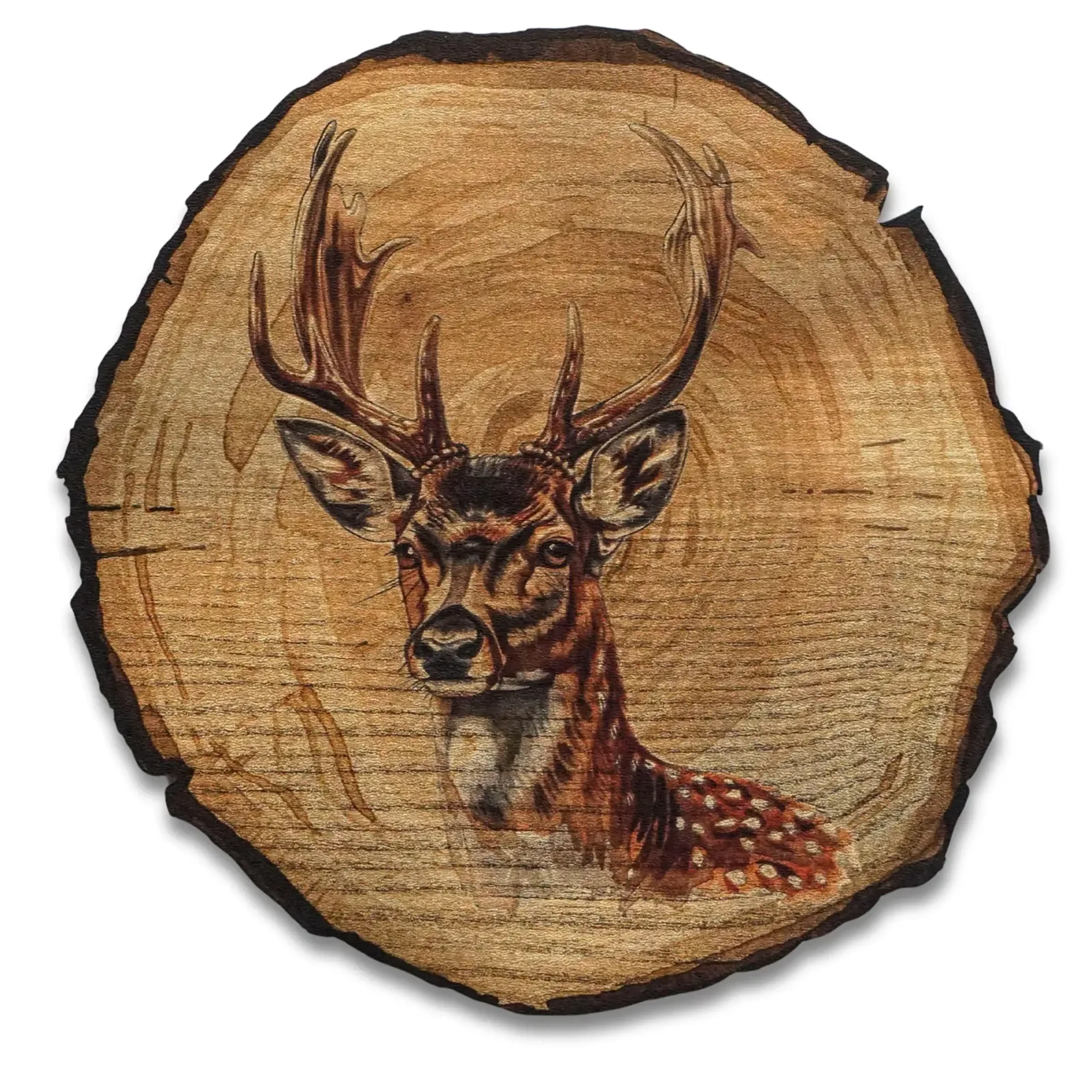Hirsch mit Geweih – Ansicht 5