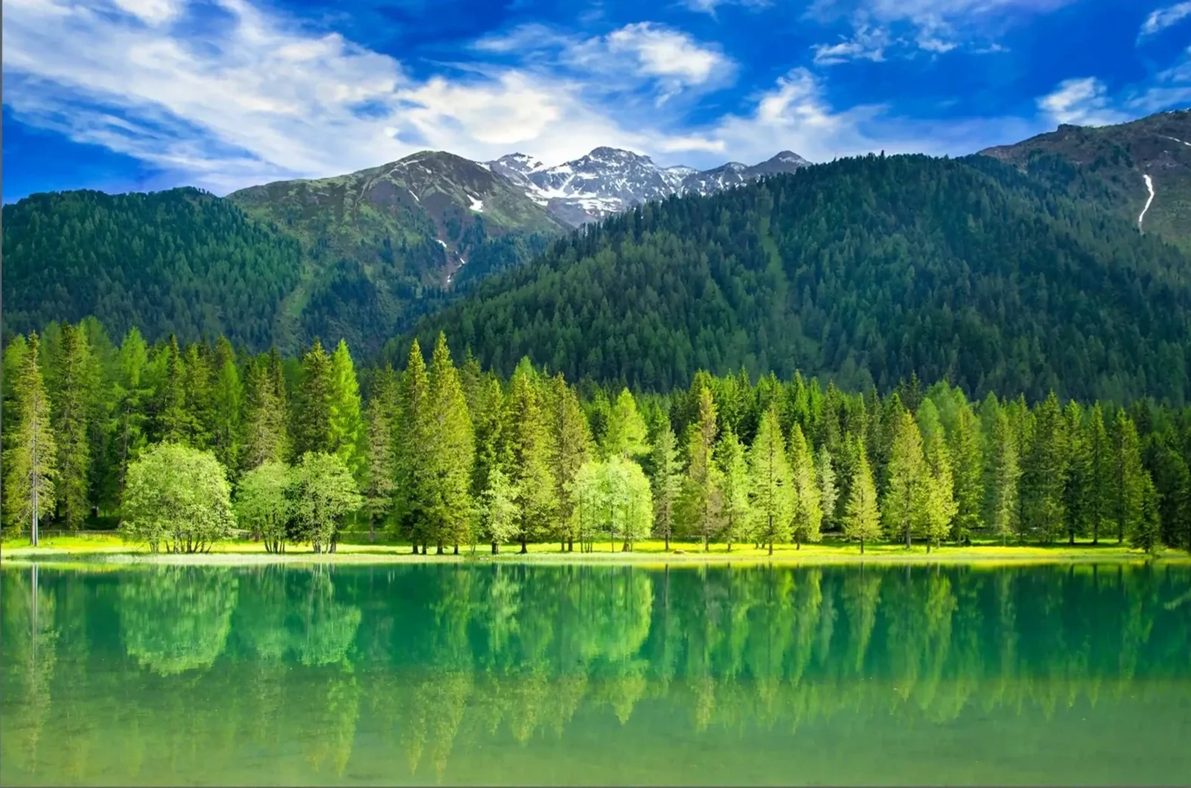 Grüne Uferbäume spiegeln sich in einem See vor bewaldeten Bergen und Gipfeln mit Schneeresten unter blauem Himmel.