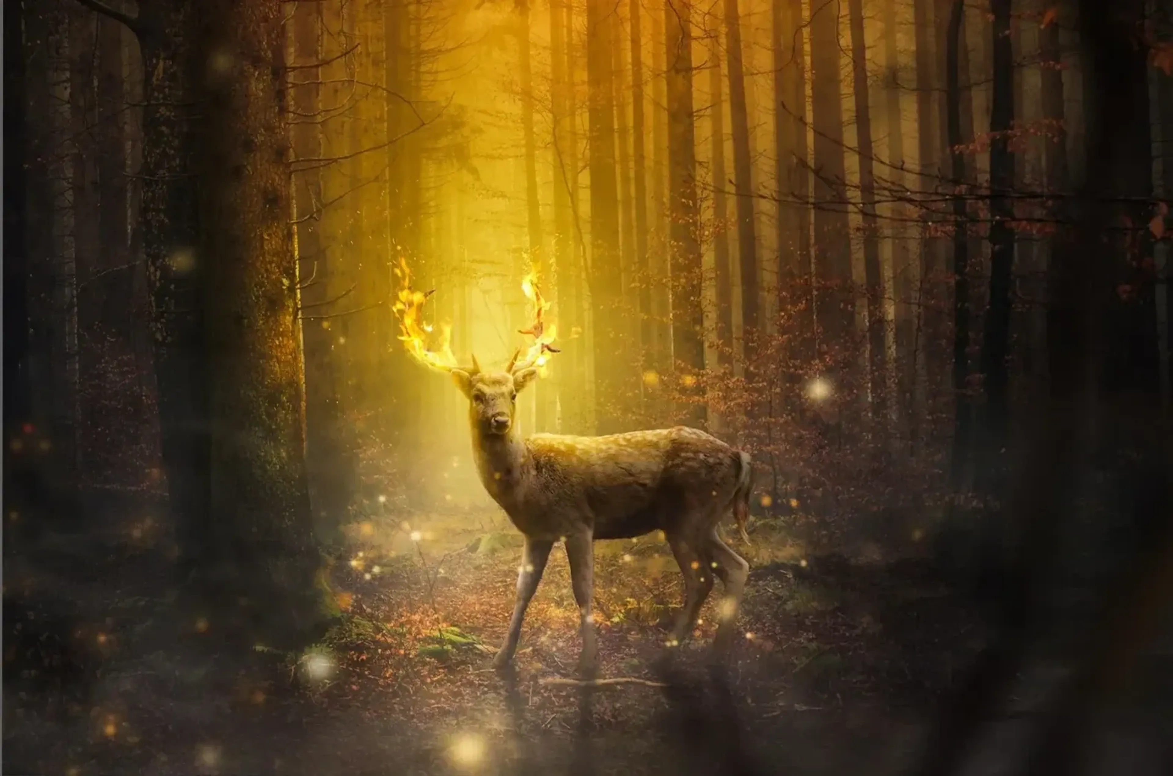 Ein Hirsch mit golden leuchtendem Geweih steht zwischen dunklen Baumstämmen und schwebenden Lichtpunkten.