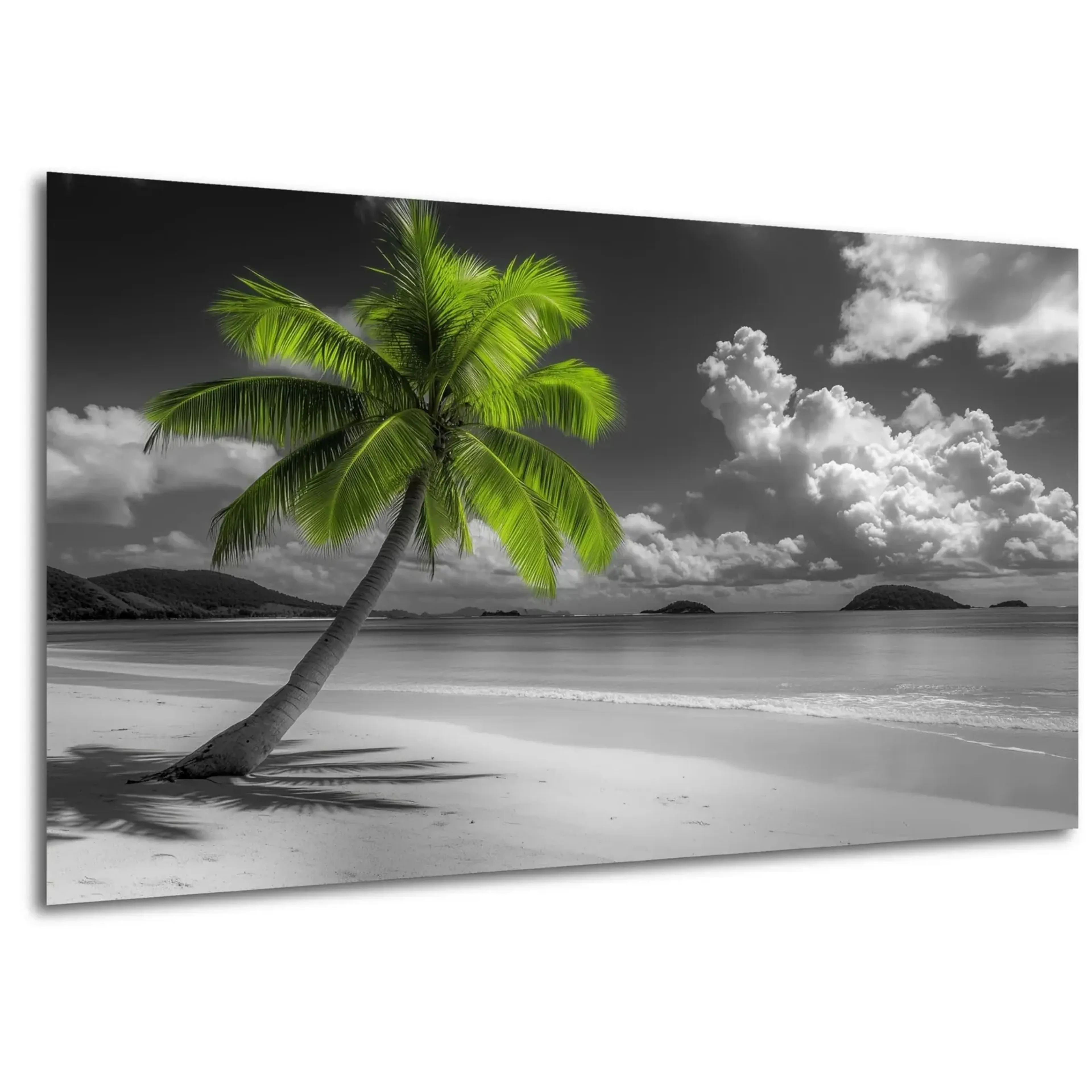 Grüne Palme am Strand – Ansicht 5