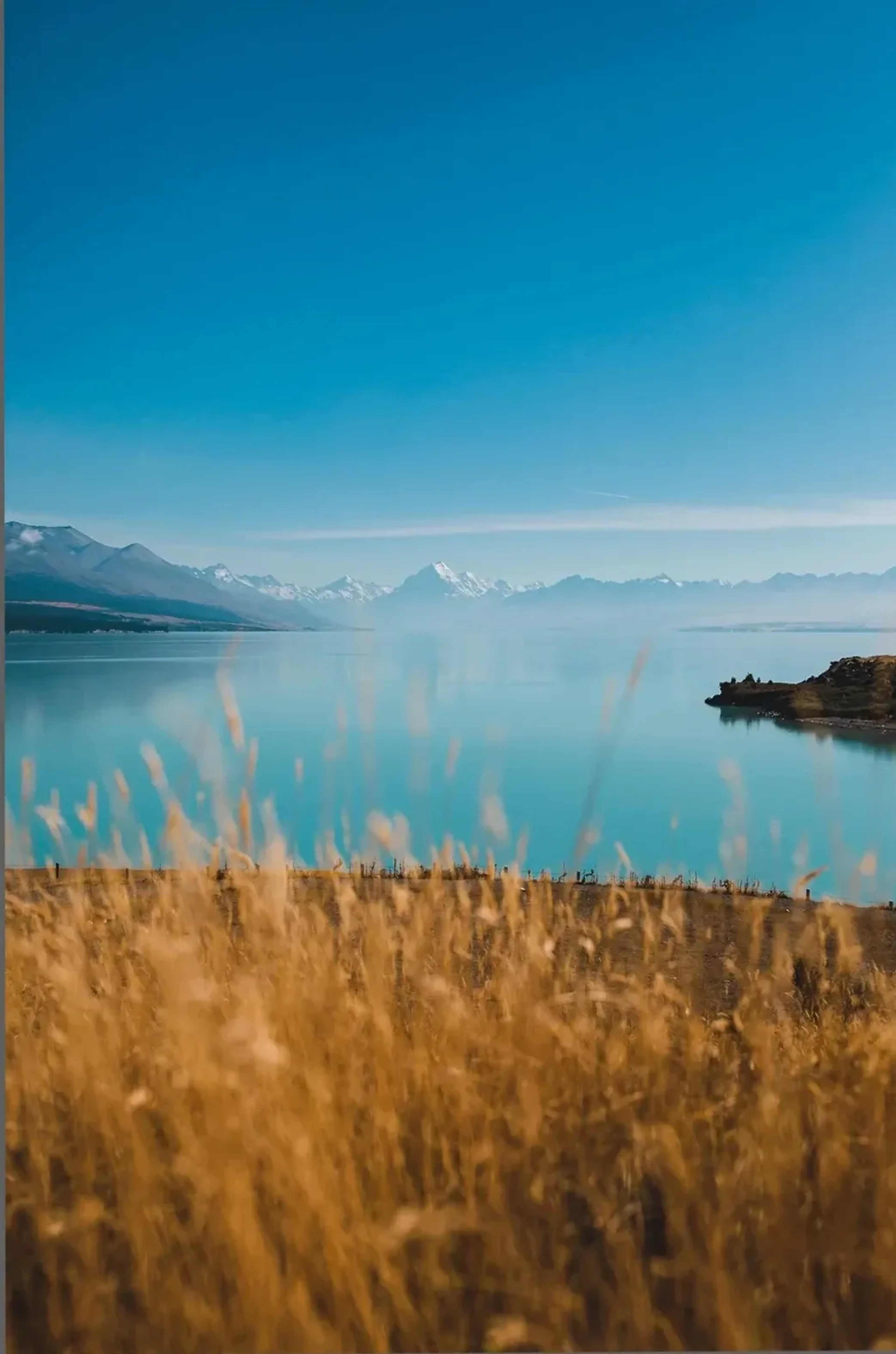 Goldene Gräser säumen einen türkisblauen See vor schneebedeckten Bergen unter weitem blauem Himmel.