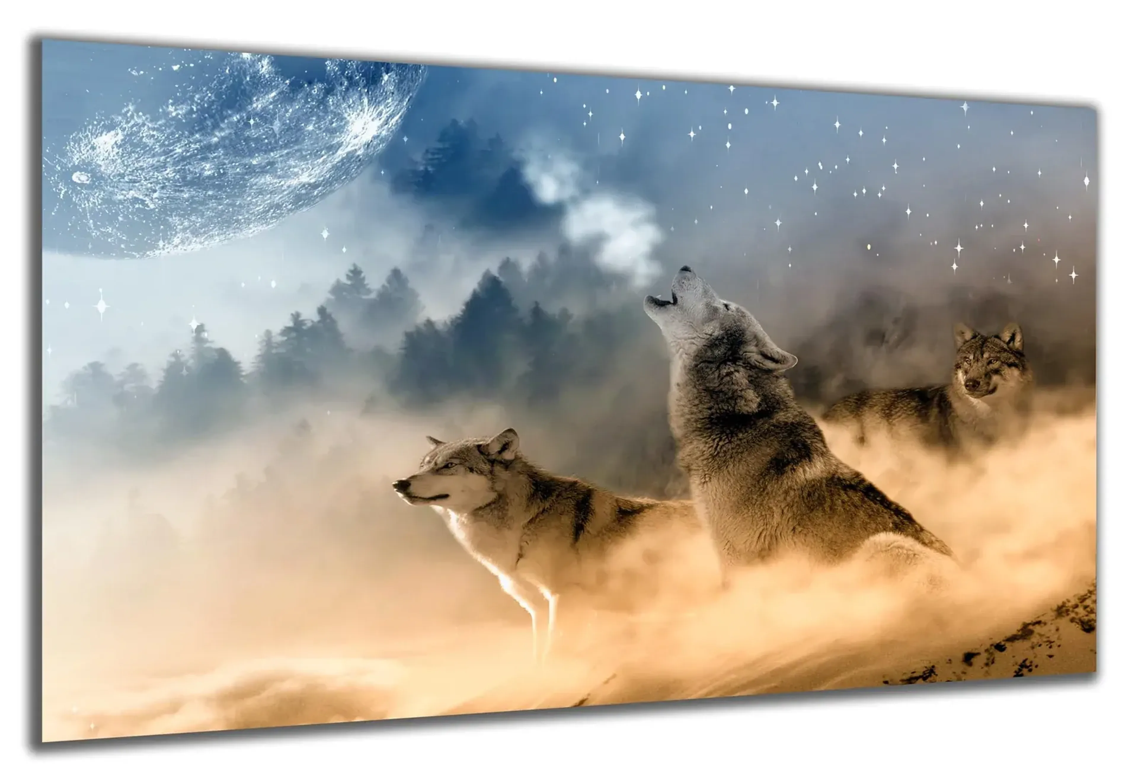 Wolfsrudel unter dem Mond – Ansicht 5