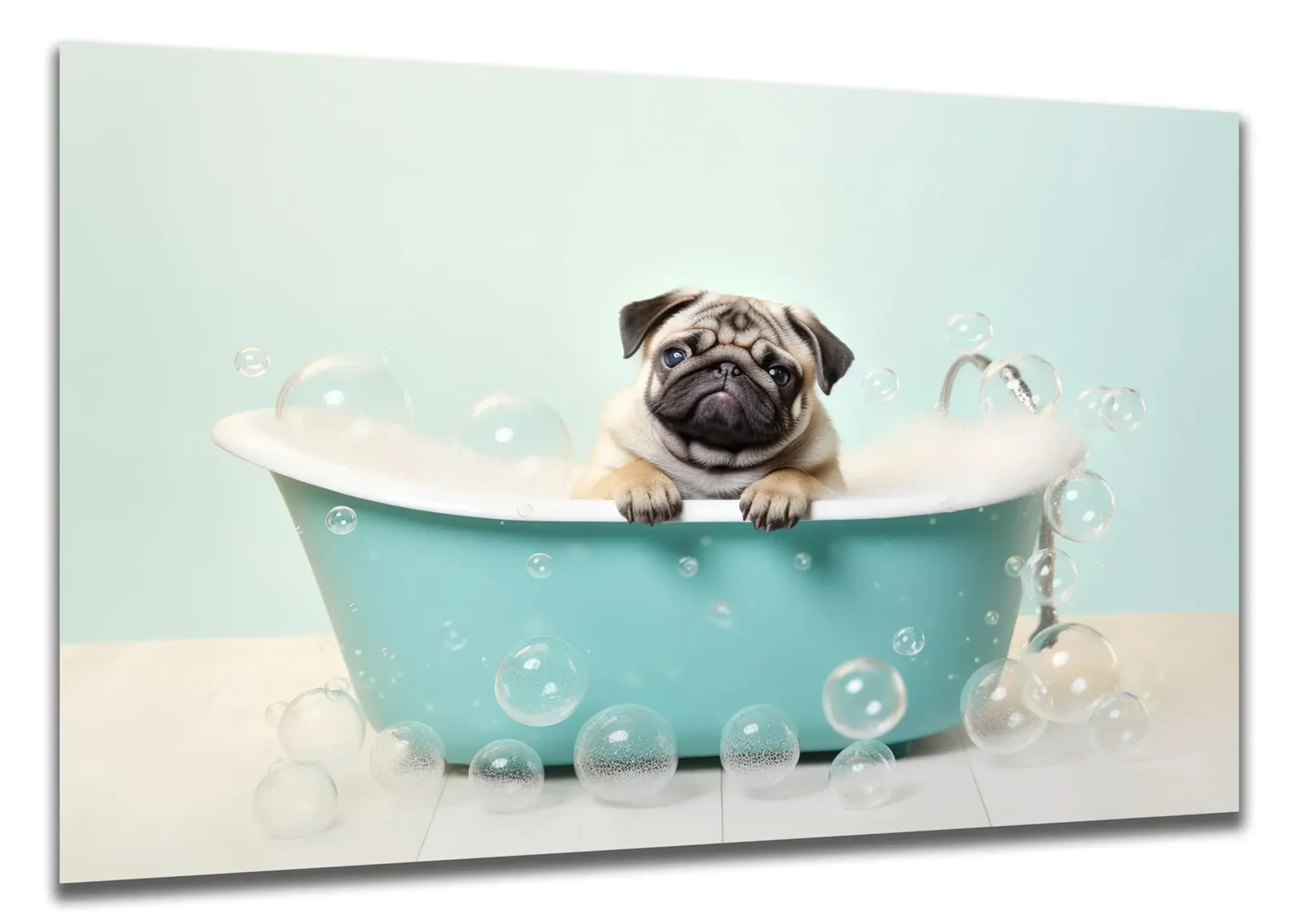 Mops im Schaumbad – Ansicht 5