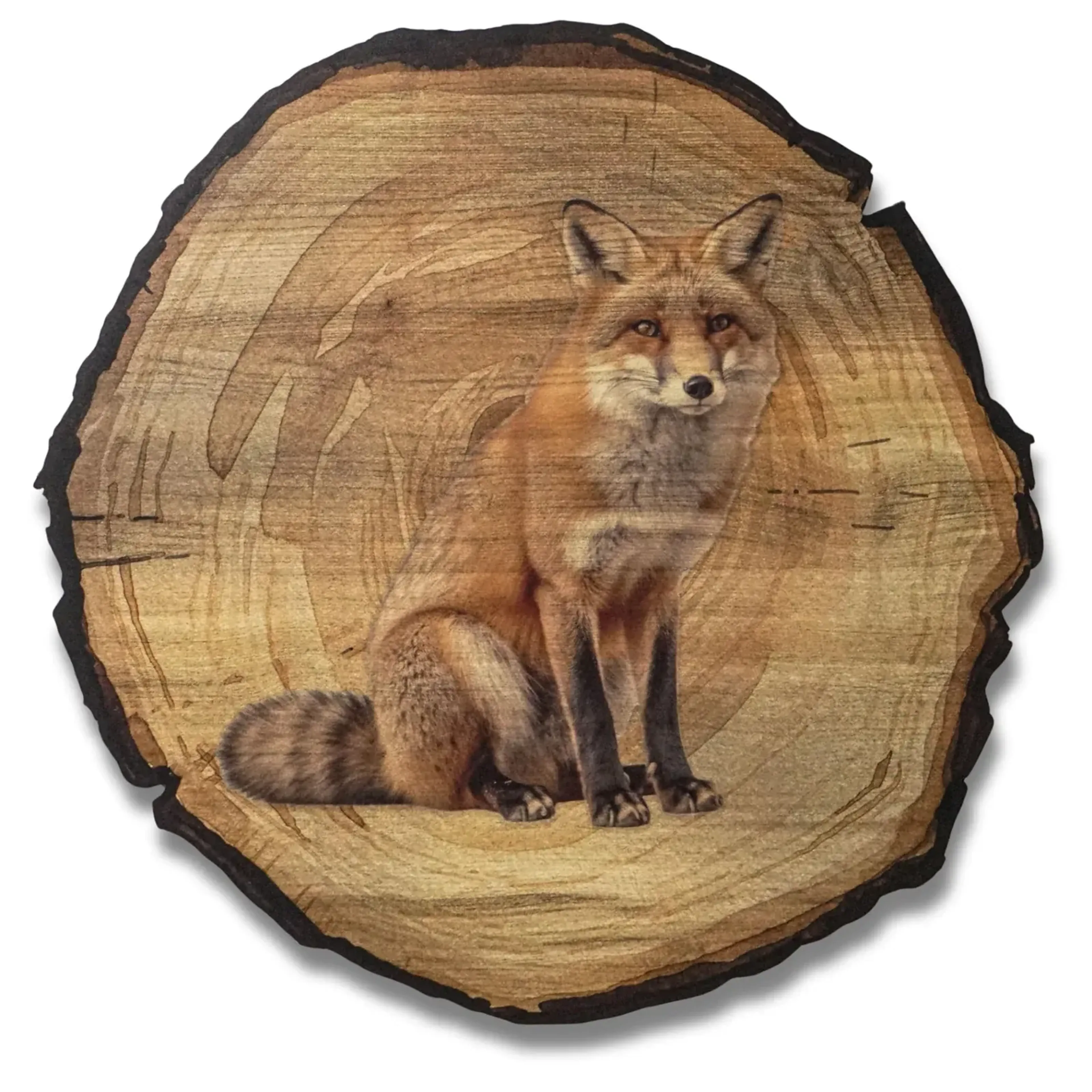 Sitzender Fuchs – Ansicht 5