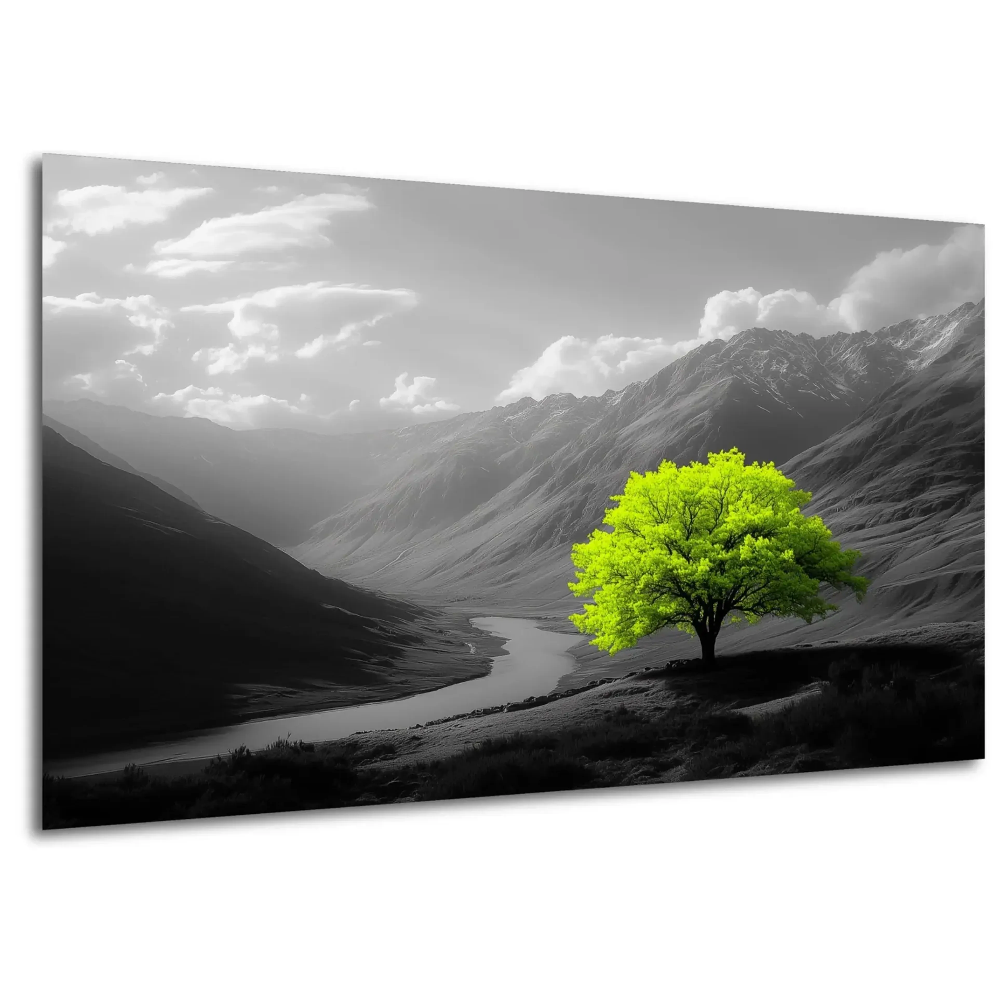 Grüner Baum im Bergtal – Ansicht 5