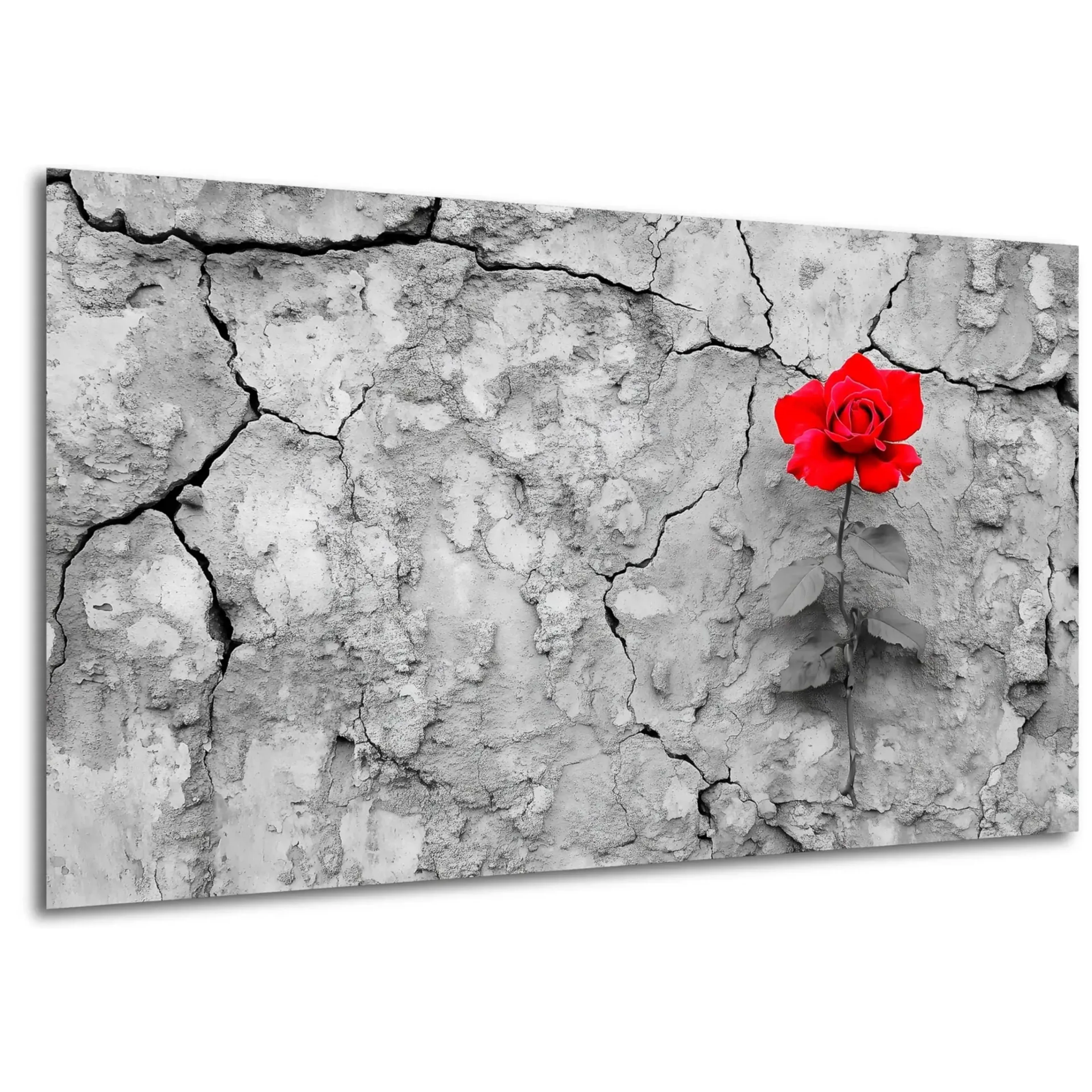 Rote Rose auf Rissen – Ansicht 5