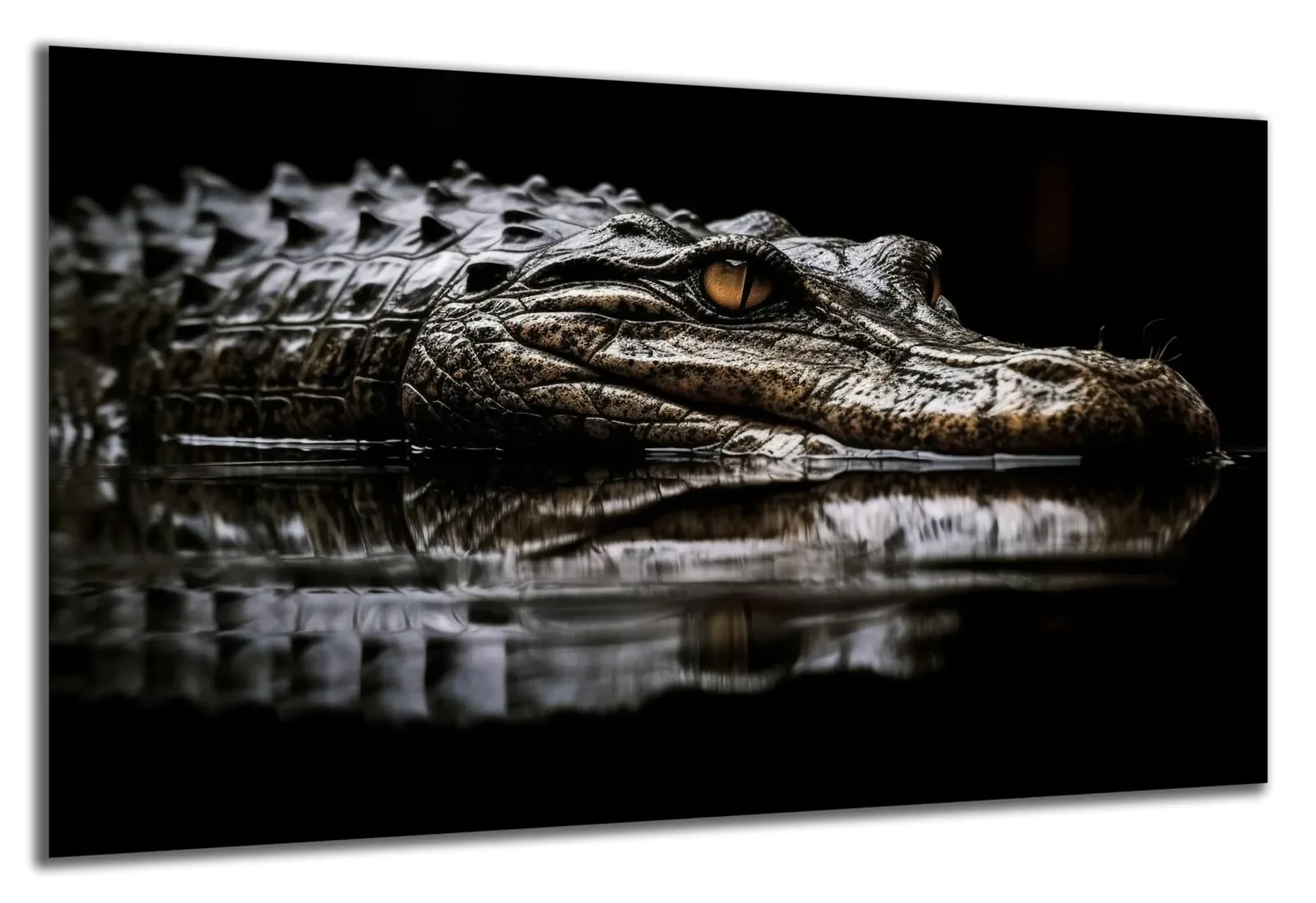 Krokodil im Wasser – Ansicht 5