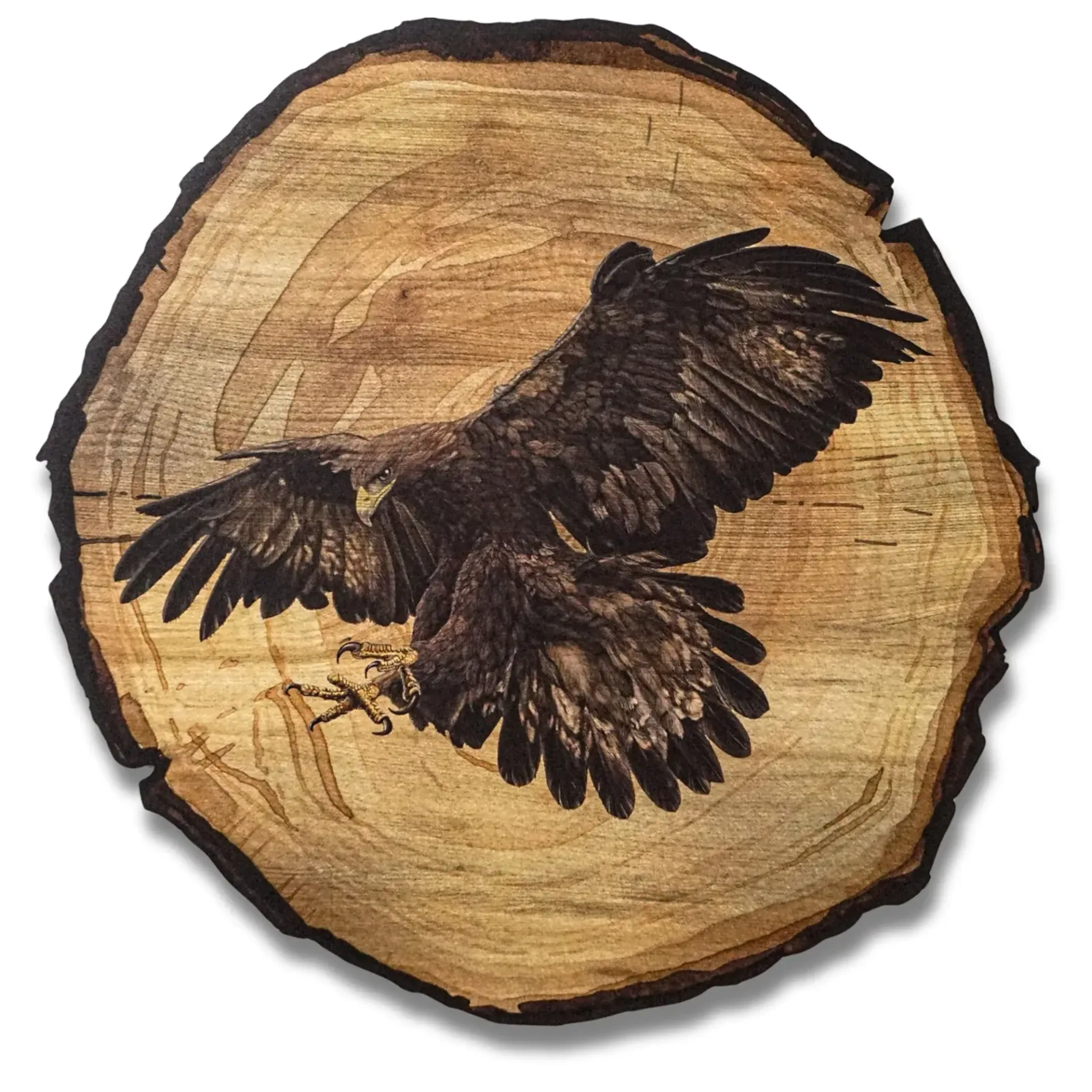 Adler mit ausgebreiteten Flügeln – Ansicht 5