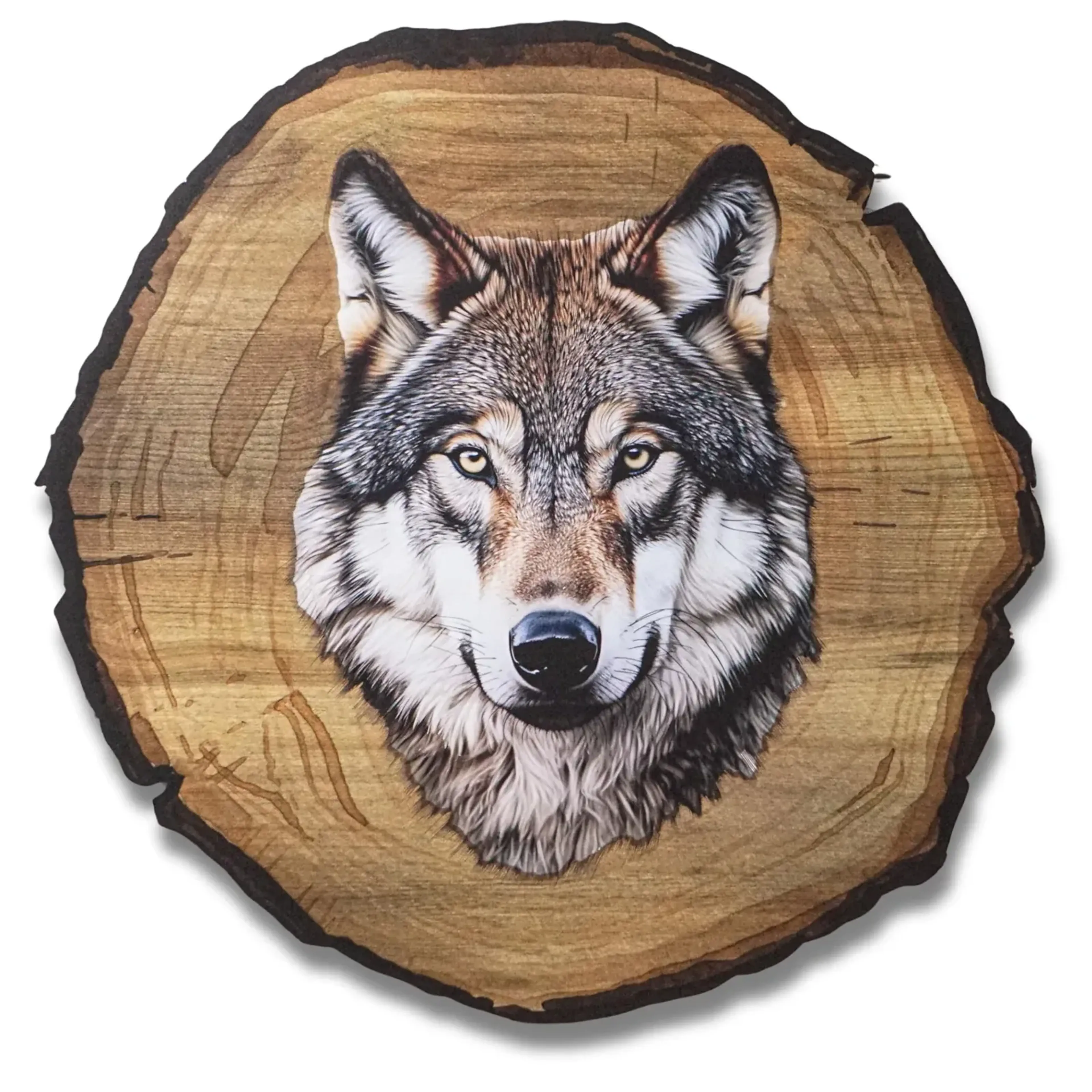 Wolf Weiß – Ansicht 5