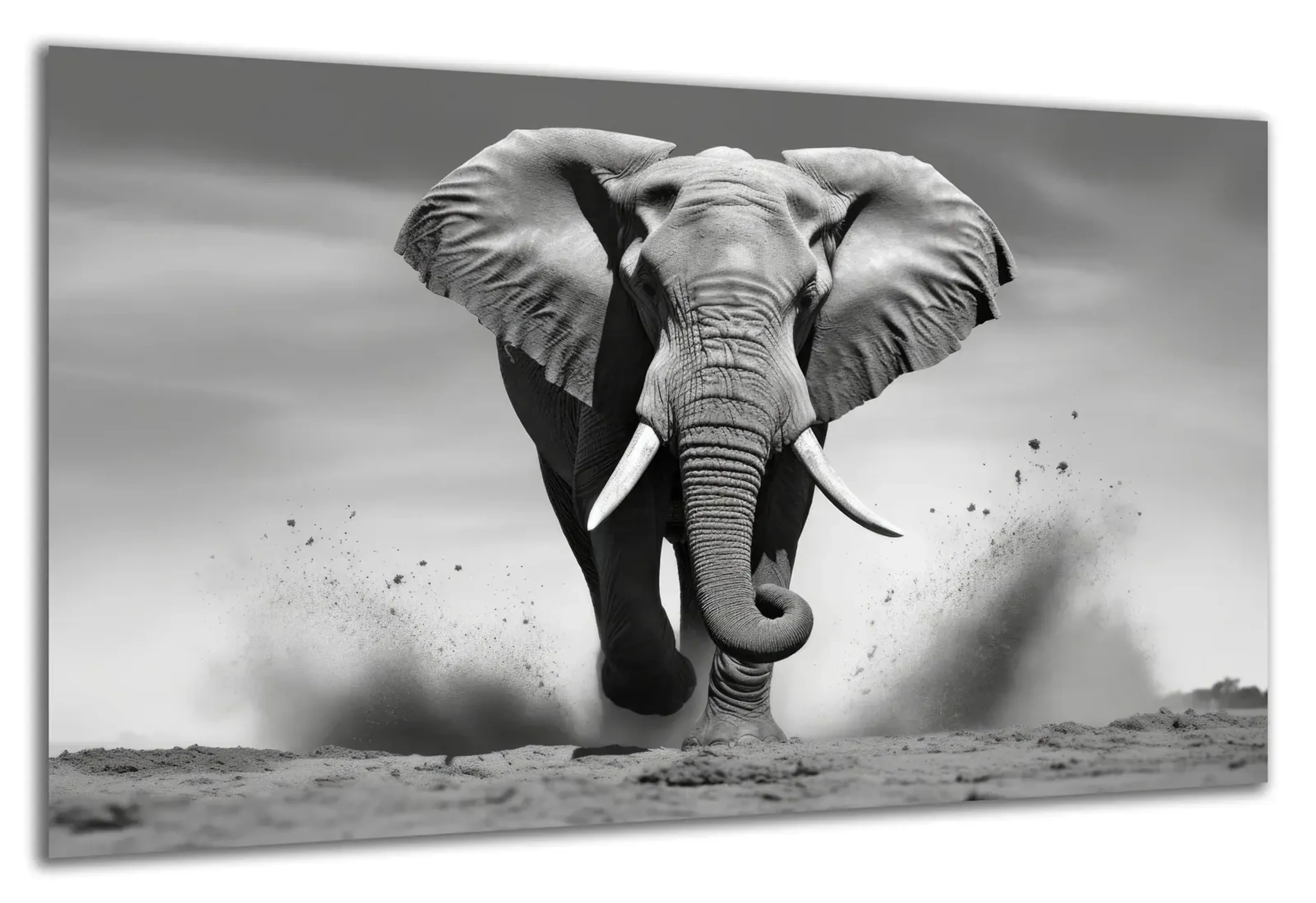 Elefant in Schwarz-Weiß – Ansicht 5