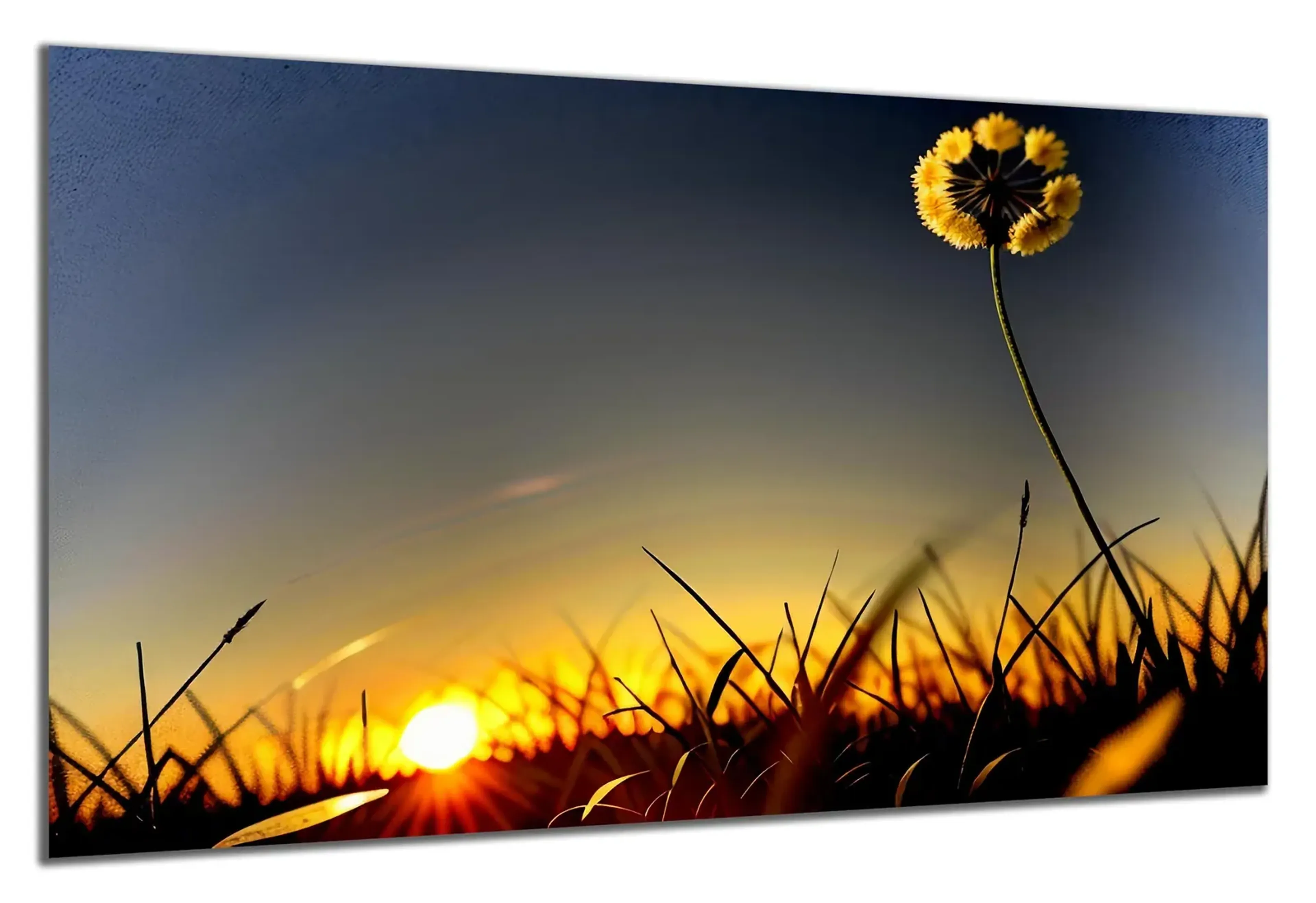 Blumenwiese Sonnenuntergang – Ansicht 5